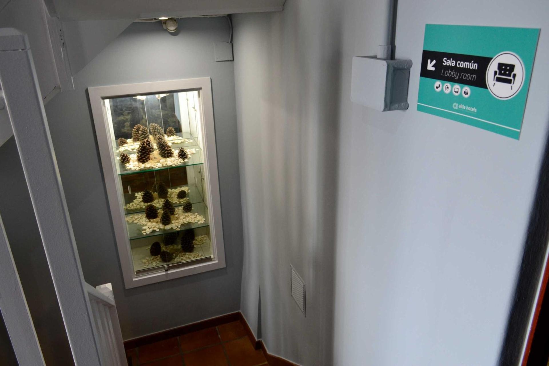 Communal lounge/ TV room