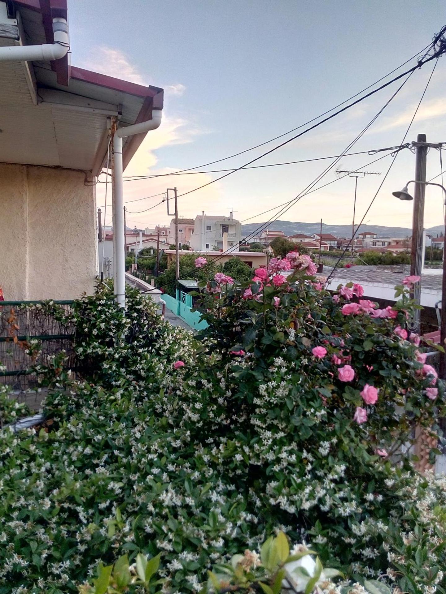 Neighbourhood