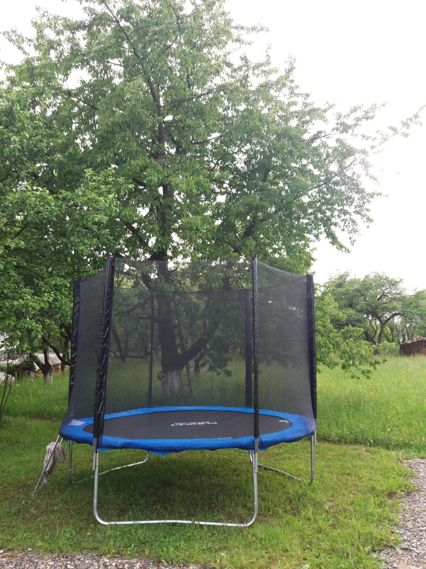 Casa Maramureșeană Larisa