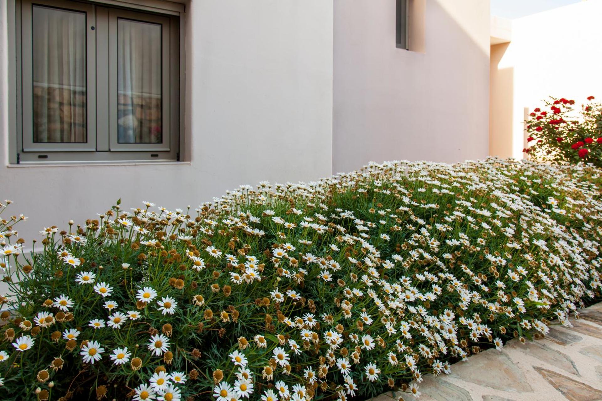 Family Room with Sea View