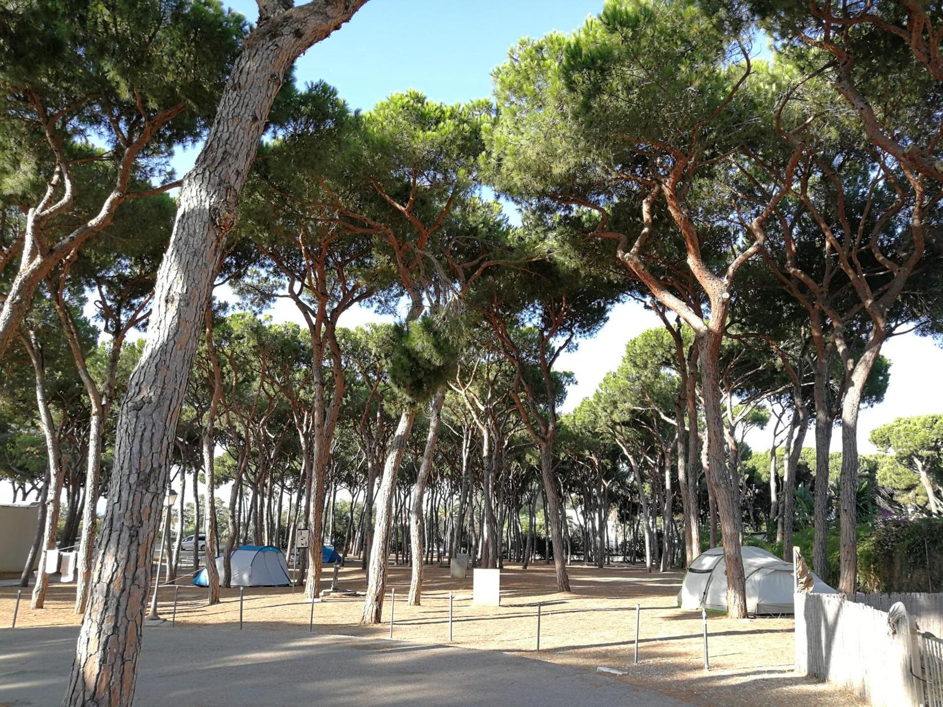 Camping La Buganvilla