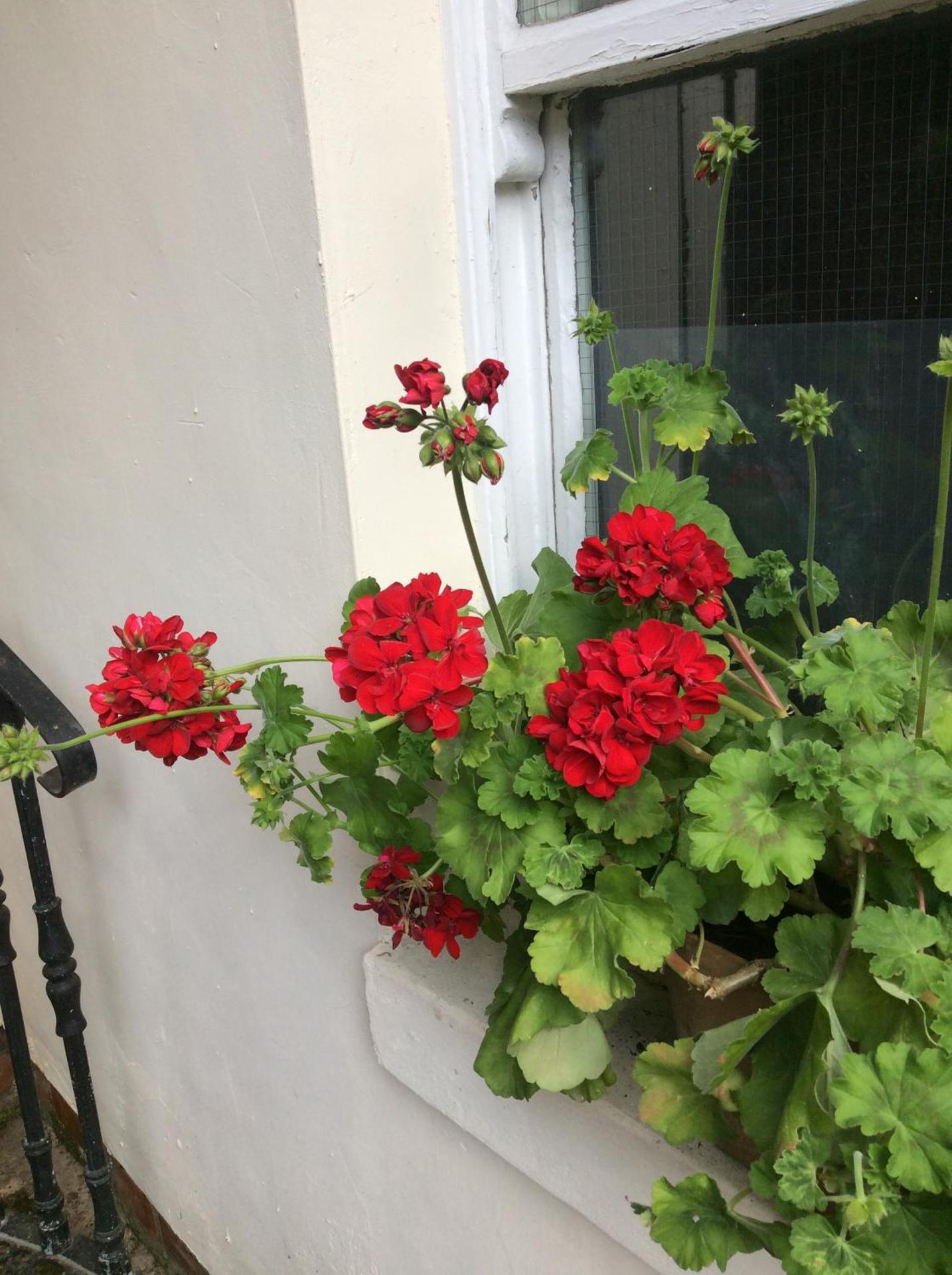 Highgate, Beverley/Hull