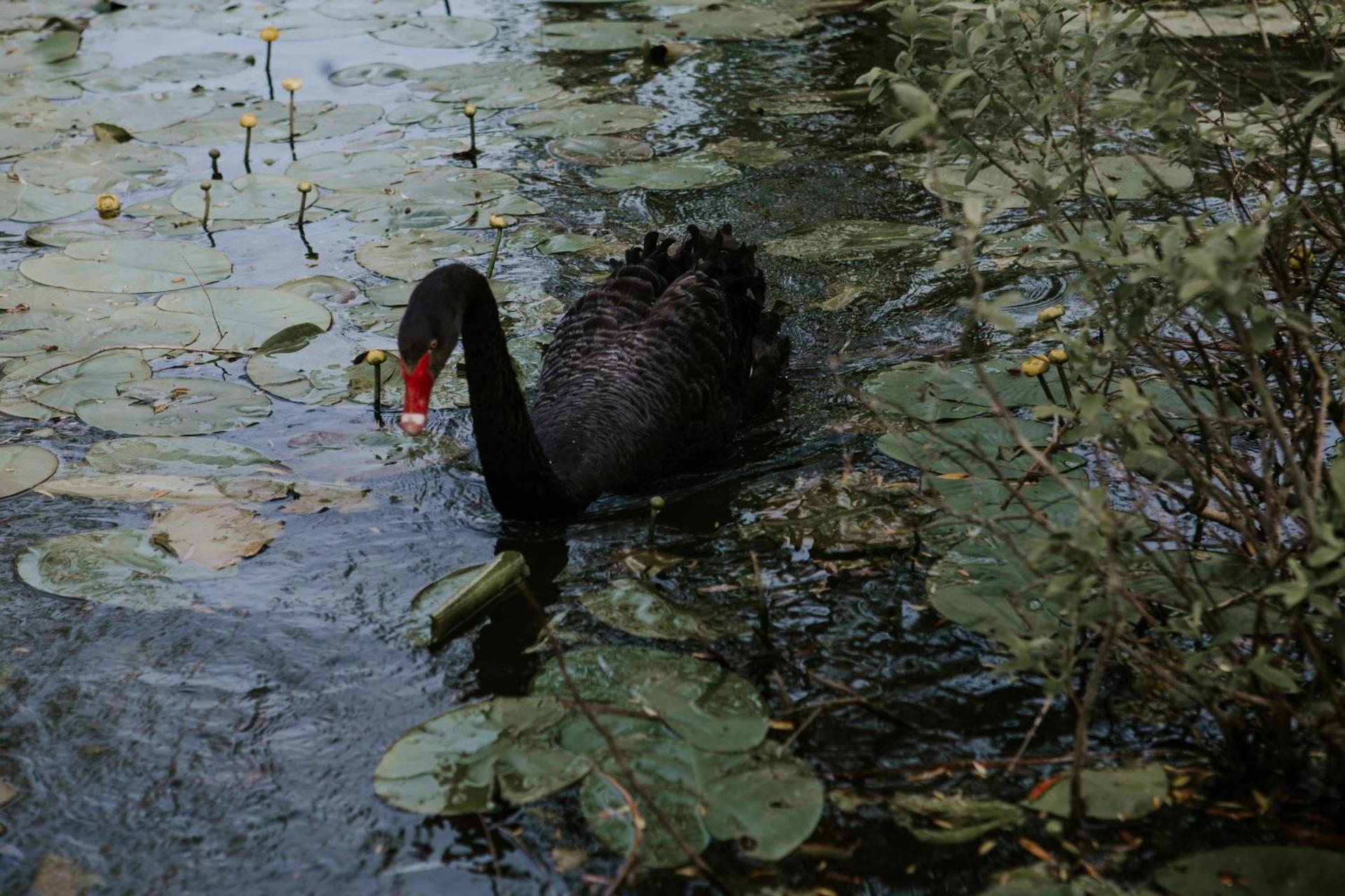 Hotel-Restaurant Milenium