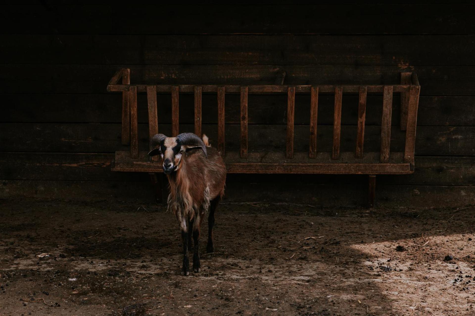 Hotel-Restaurant Milenium