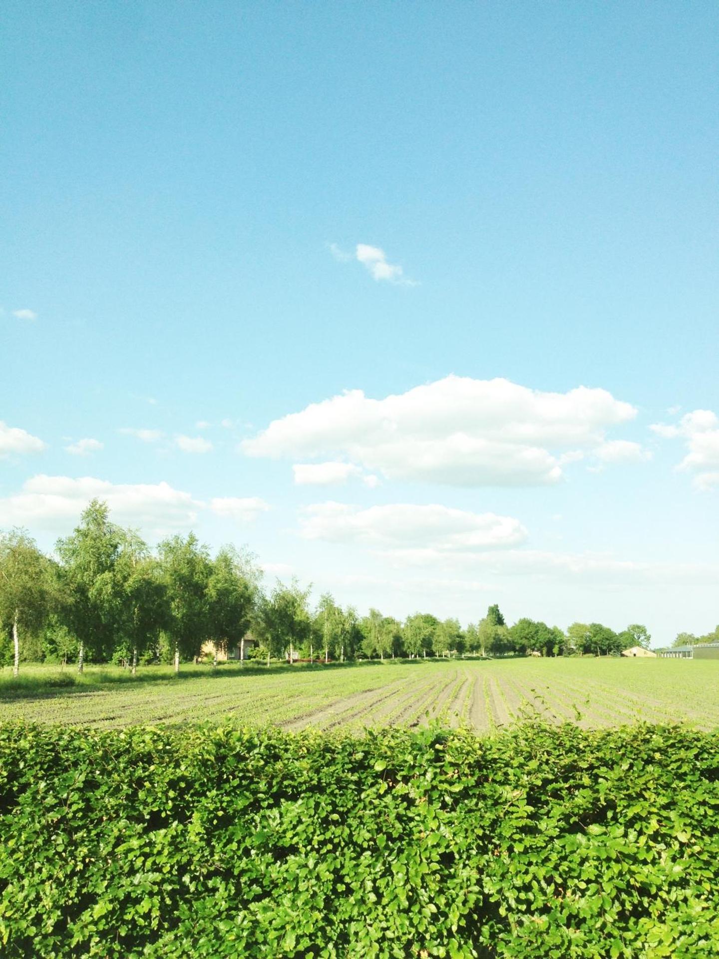 Bed & Breakfast Boekel