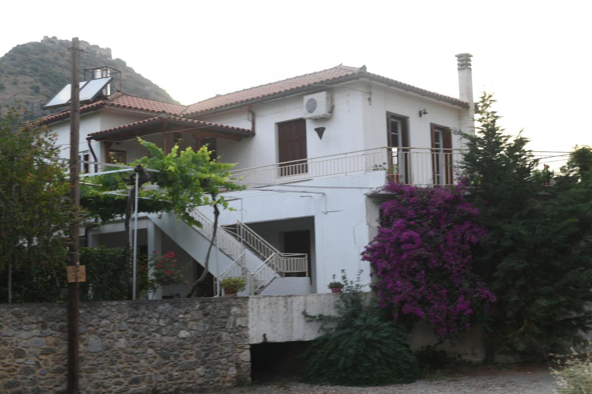 Art Flowers and Culture