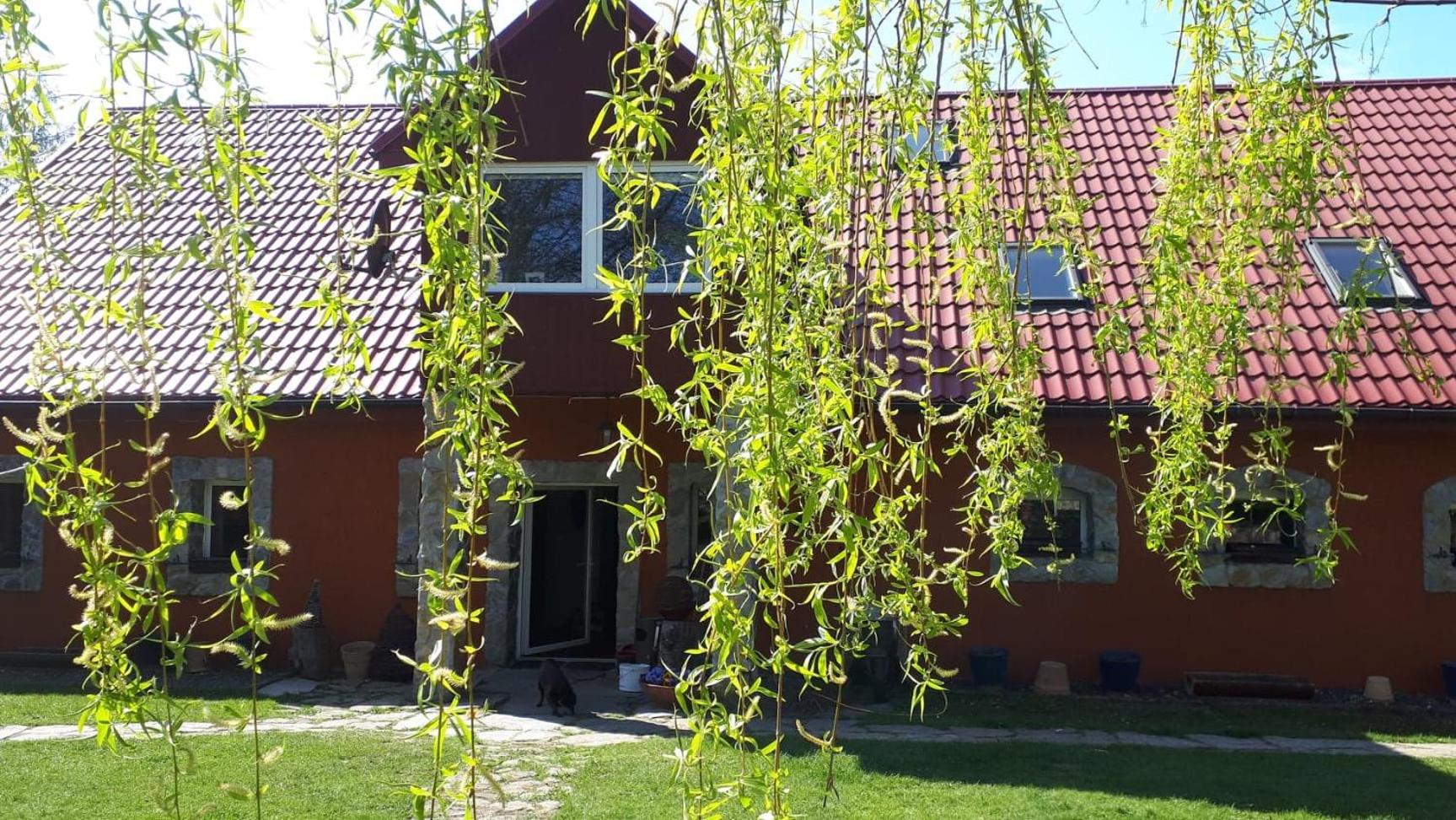 Chata na Borowinowej