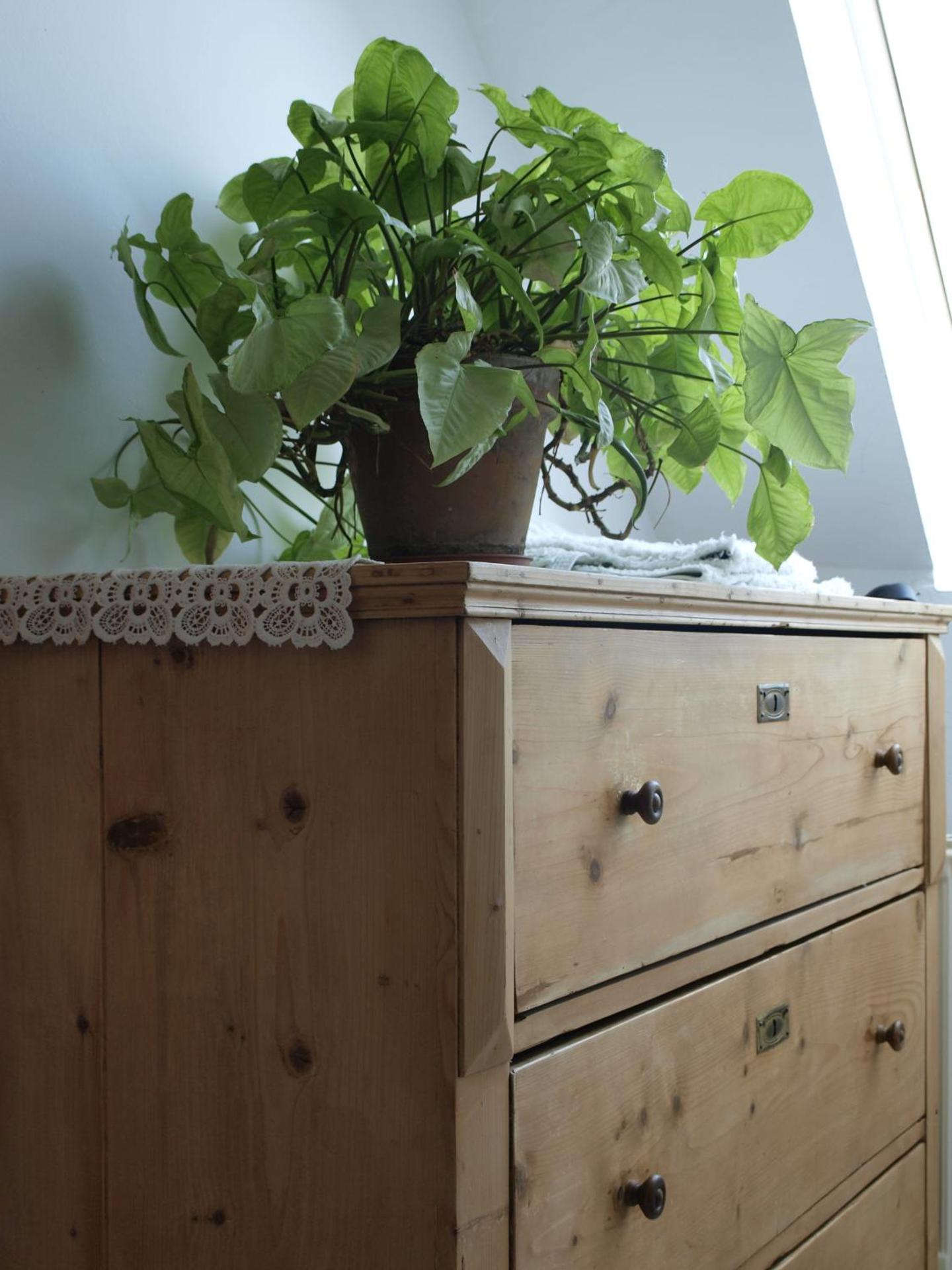 Vitényi Pince Vendégház