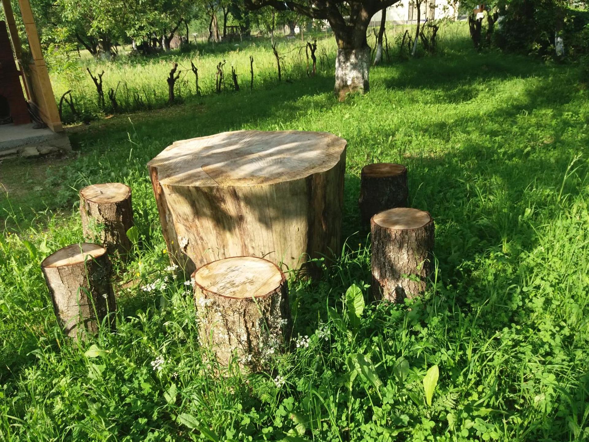 Casa Maramureșeană Larisa