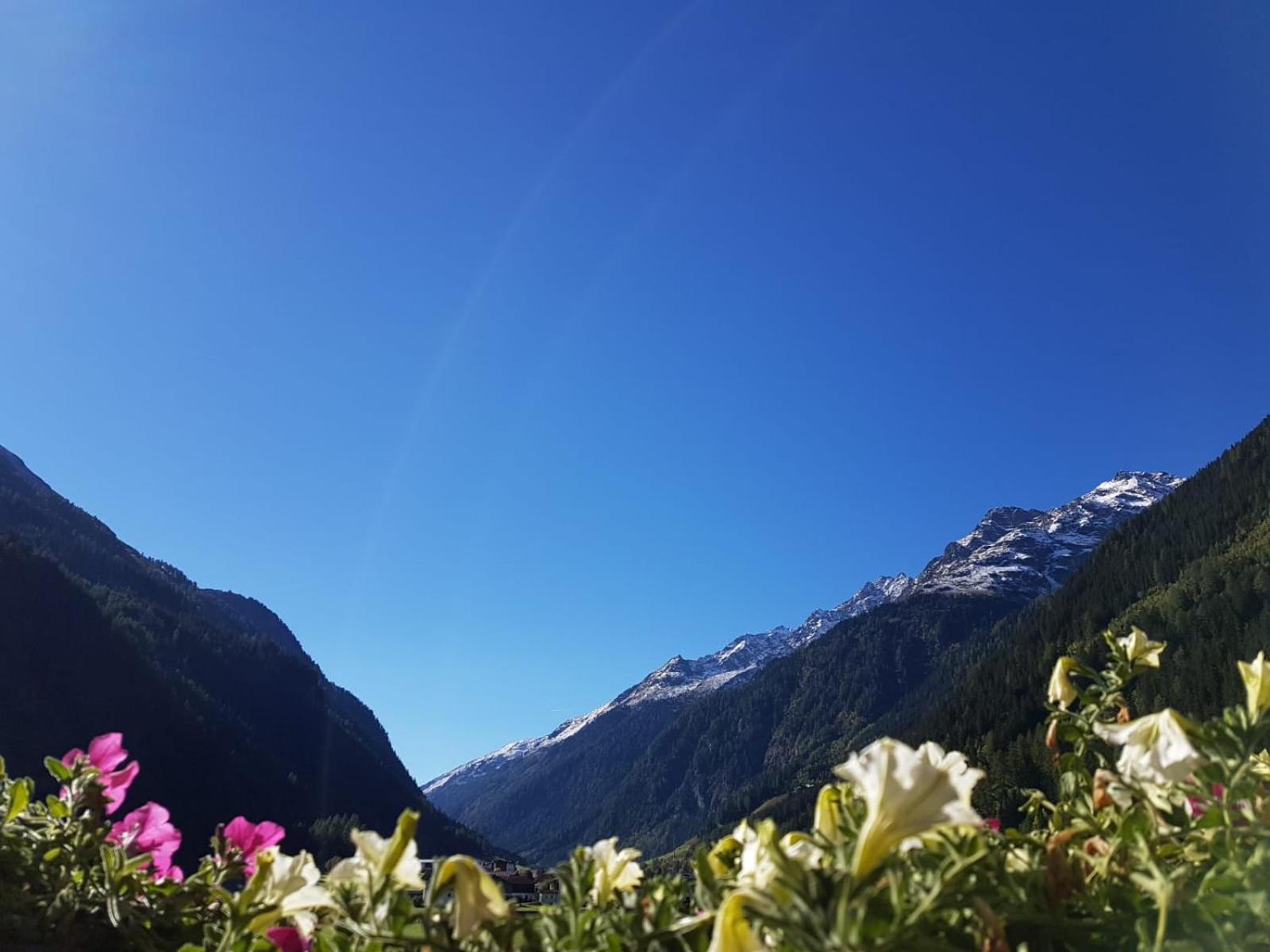 View (from property/room)