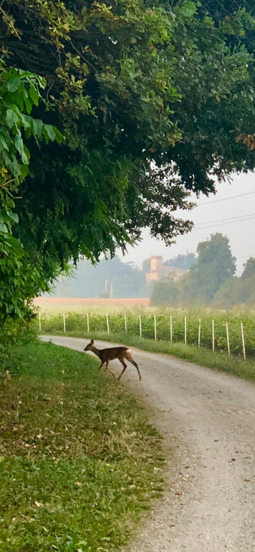 La Corte vicino Maranello