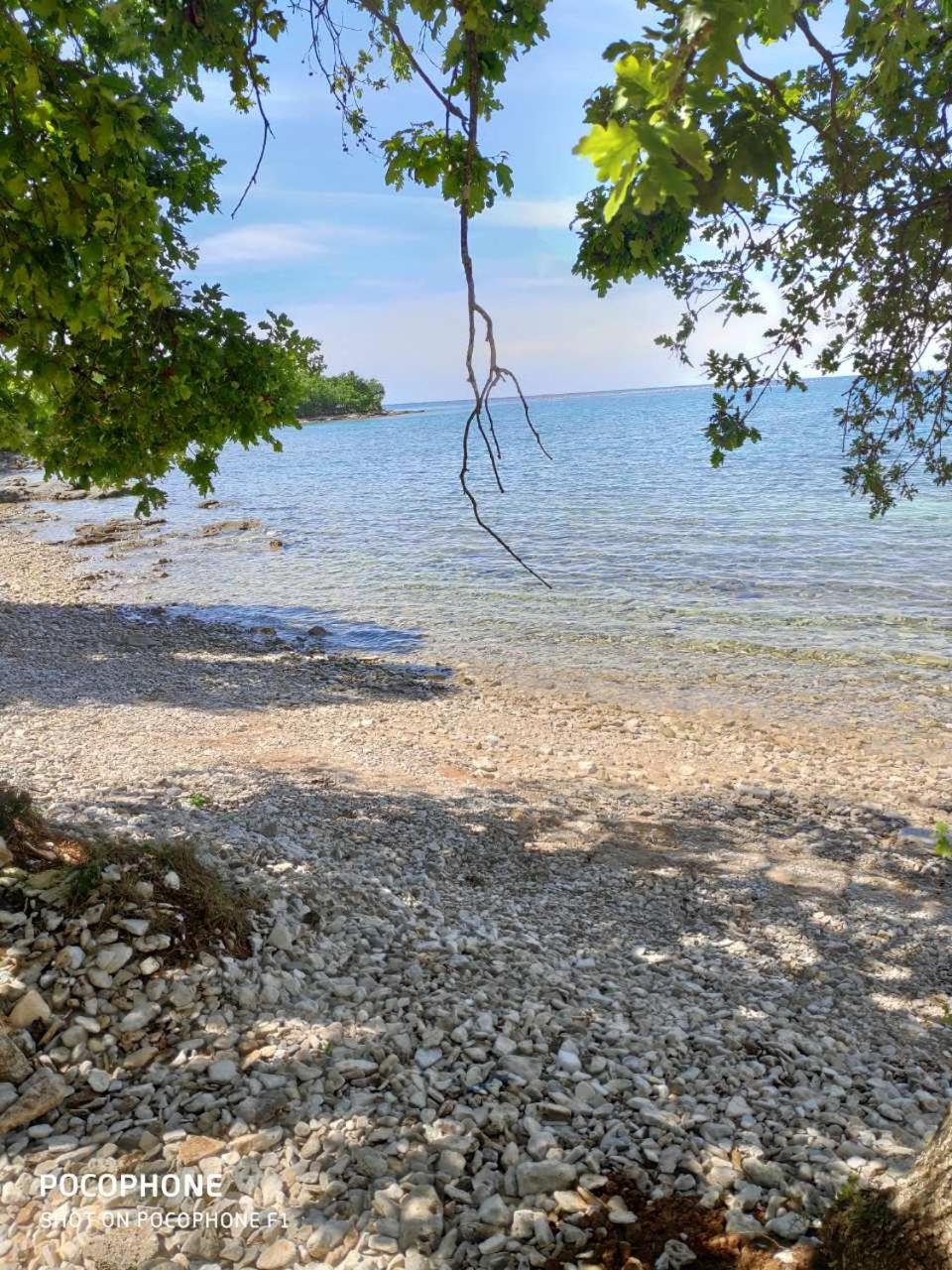 Apartman Cervar Porat