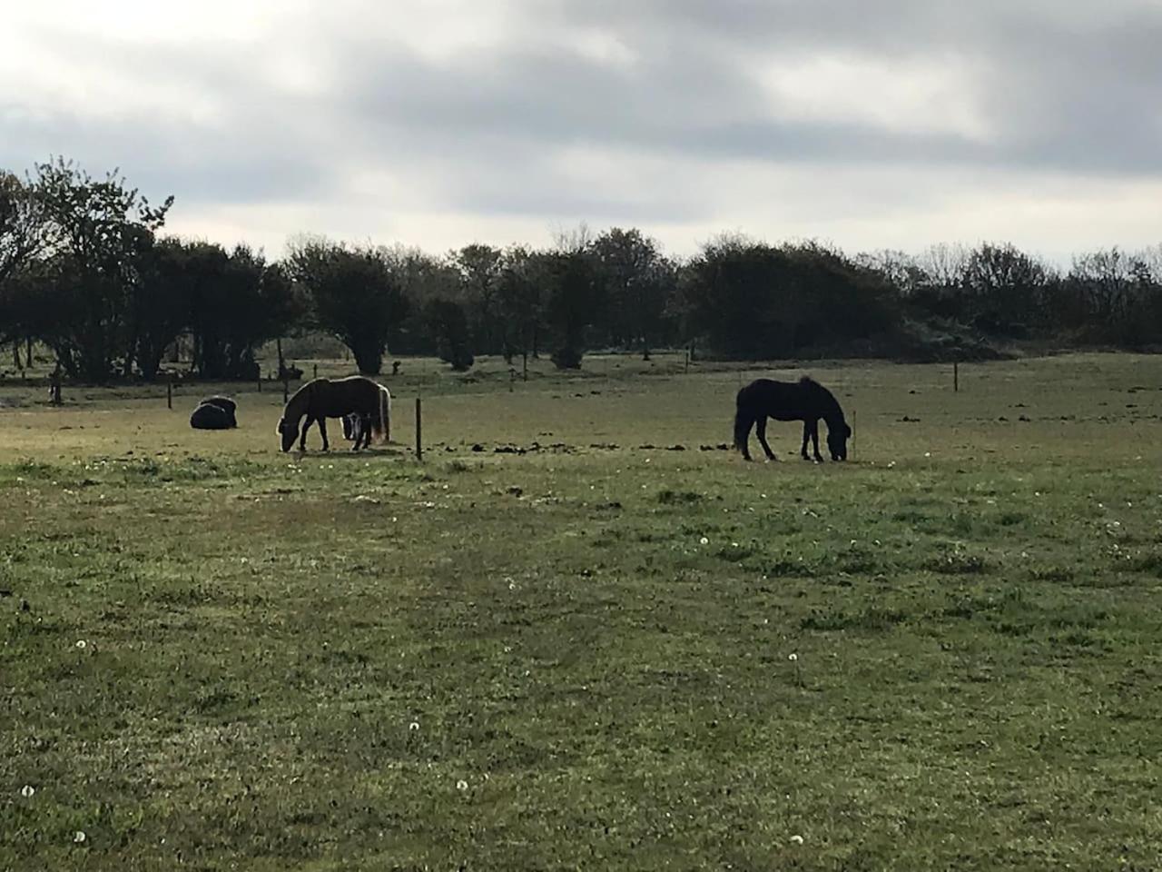 BB-Vadehavet Ferielejlighed til 6 personer ved Nationalpark Vadehavet
