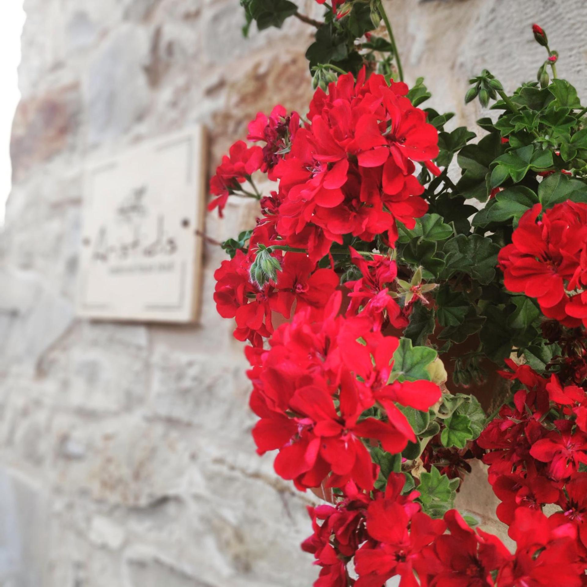 ARISTIDIS'S PLOUTI MOIRES