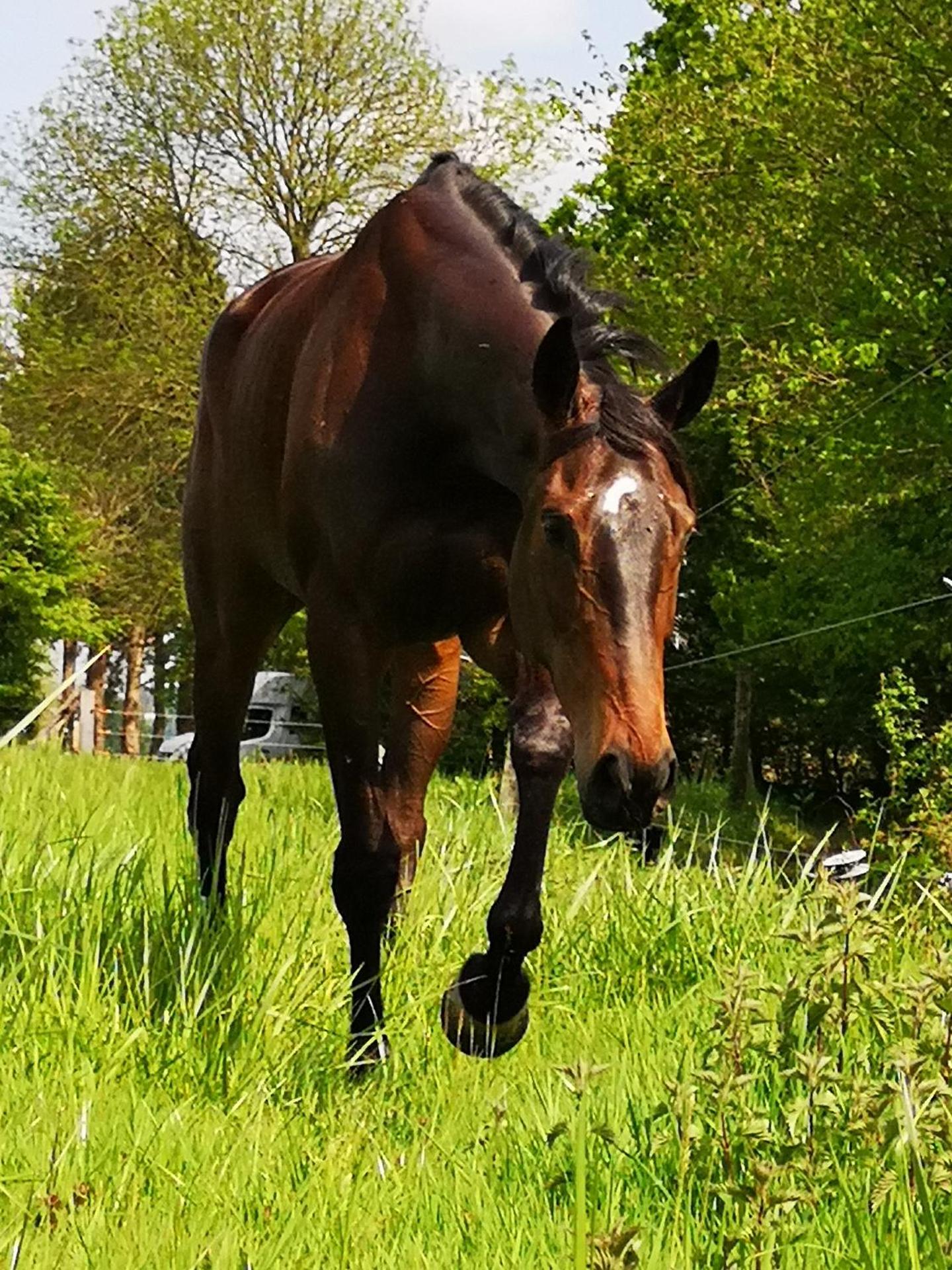 Domaine du Manoir de Vains