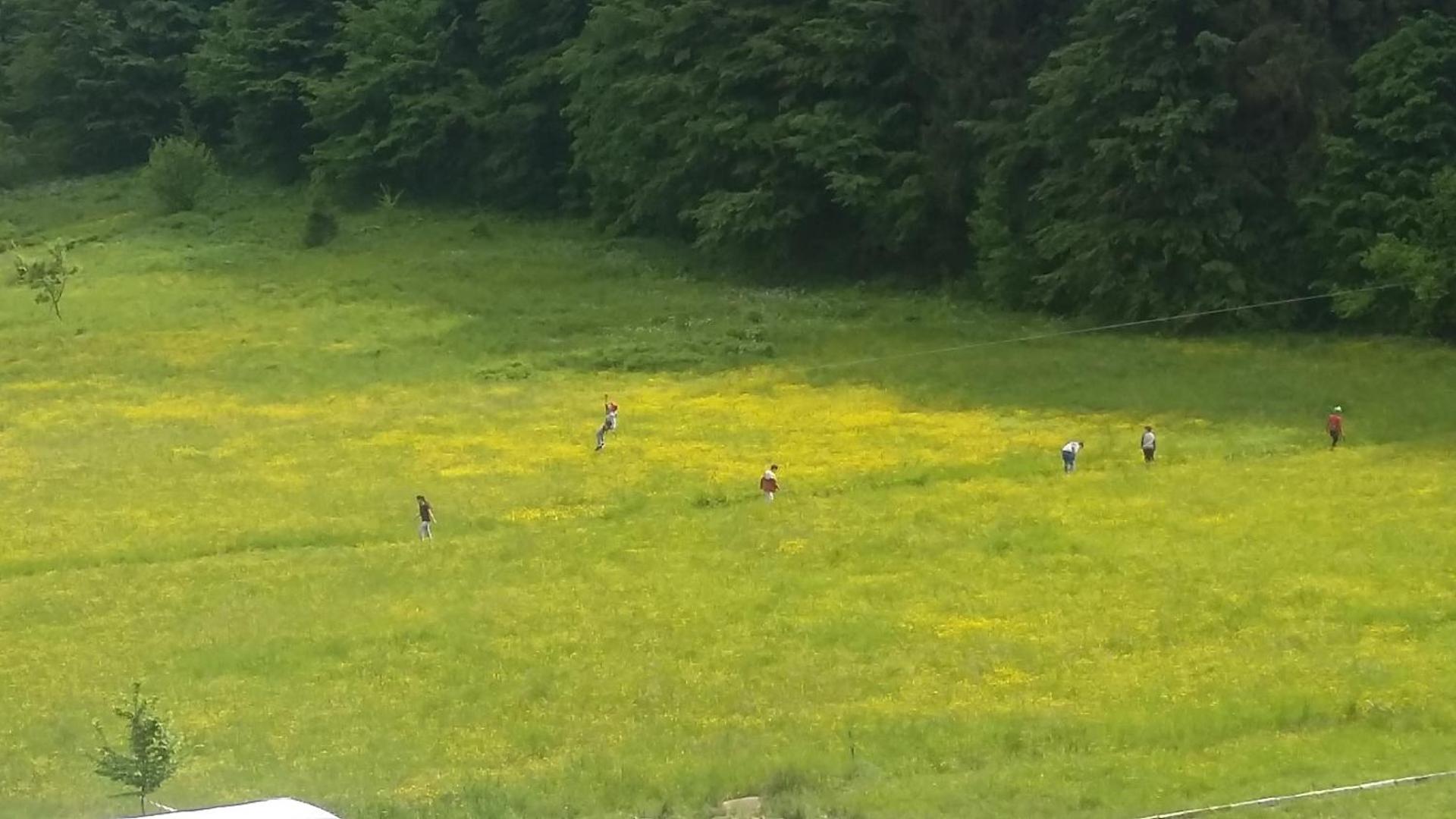 Pensiunea Poiana Soarelui