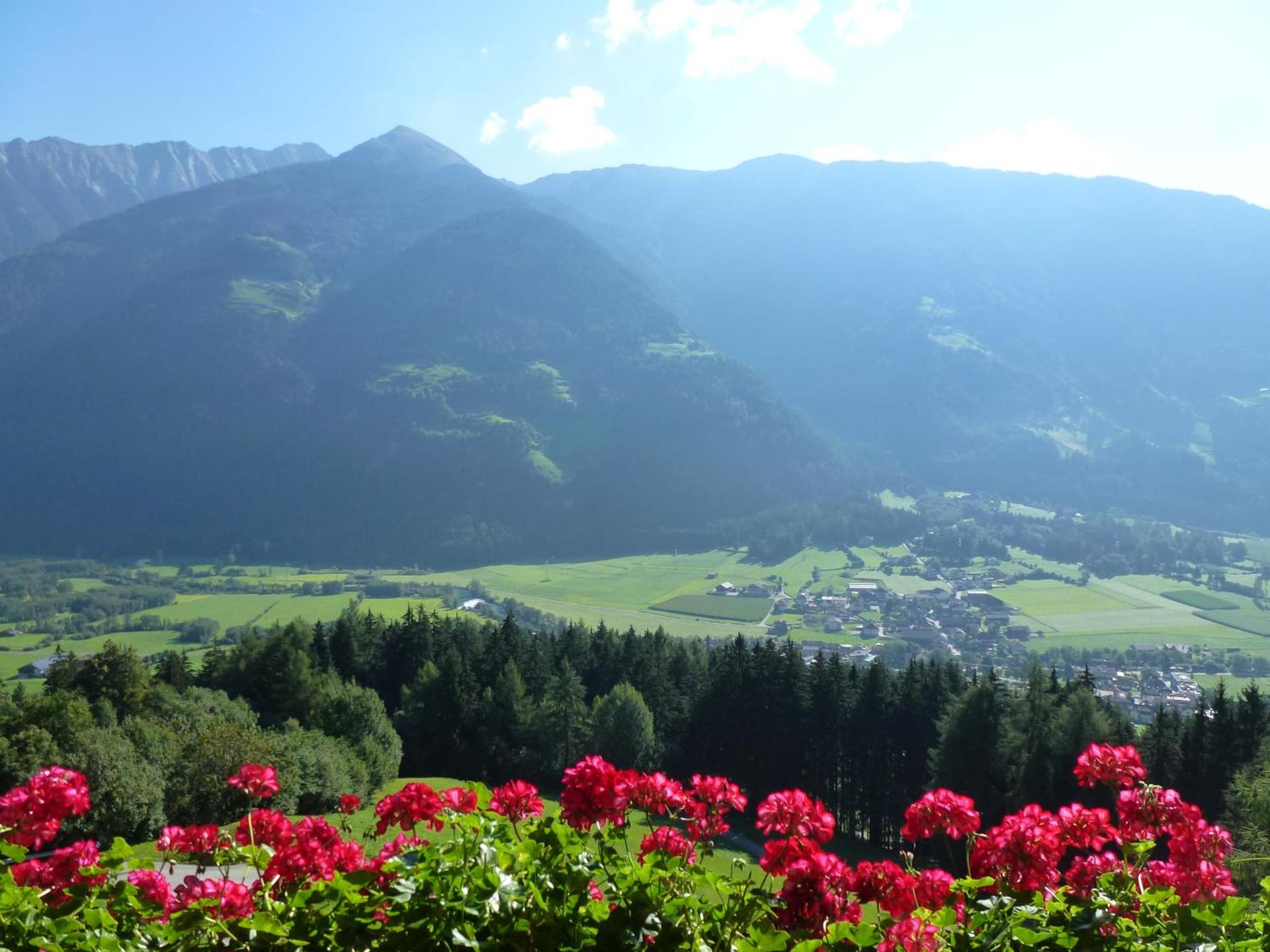 View (from property/room)