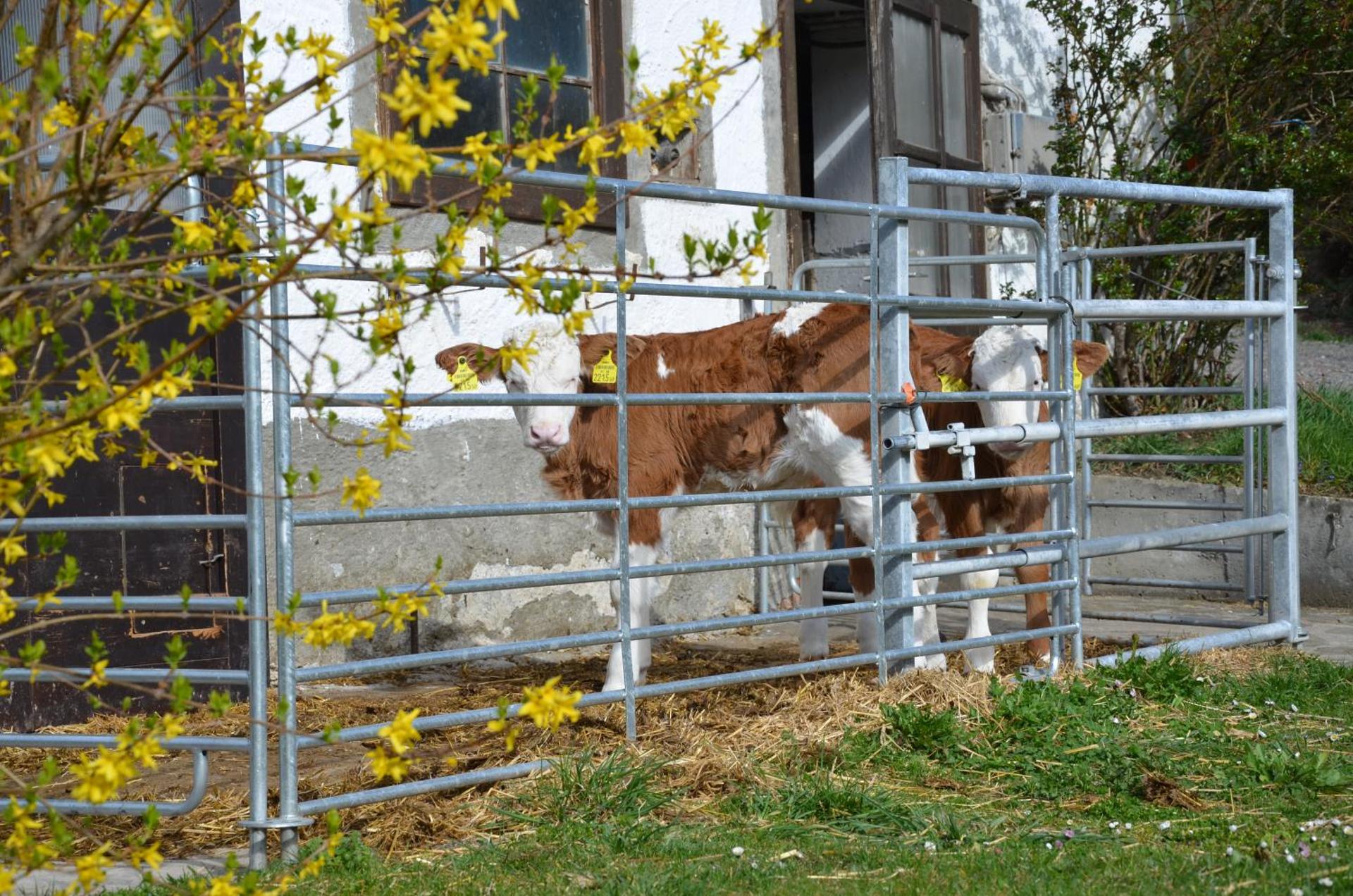 Ferienwohnung Vonwald