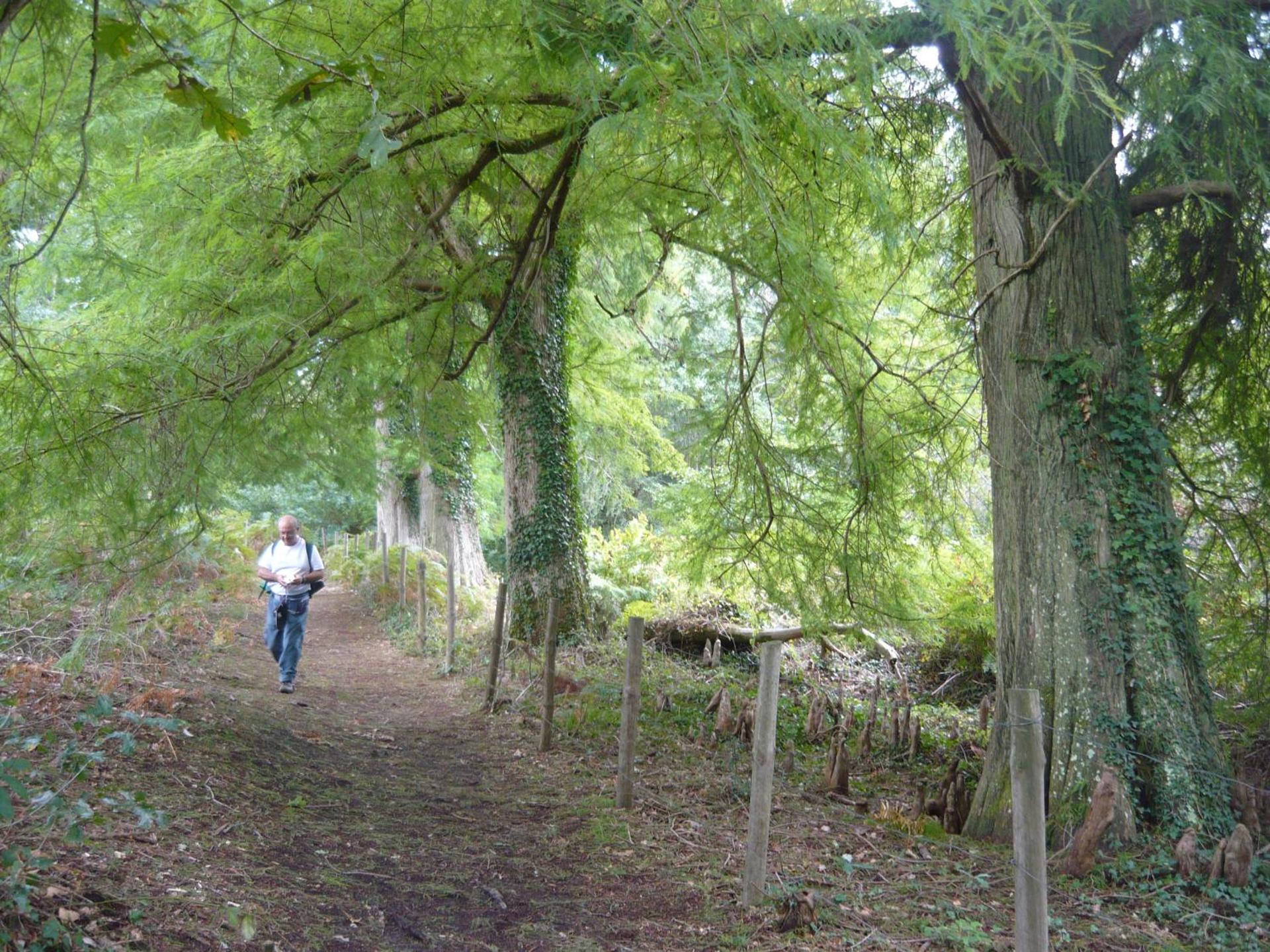 Appartement vue lateral du lac