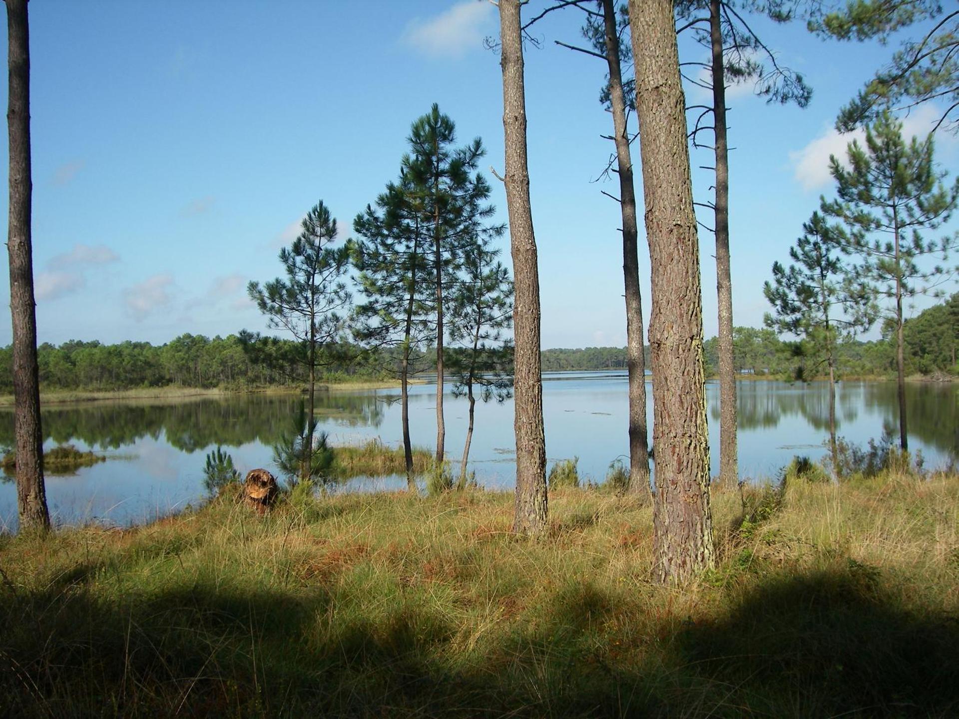 Appartement vue lateral du lac