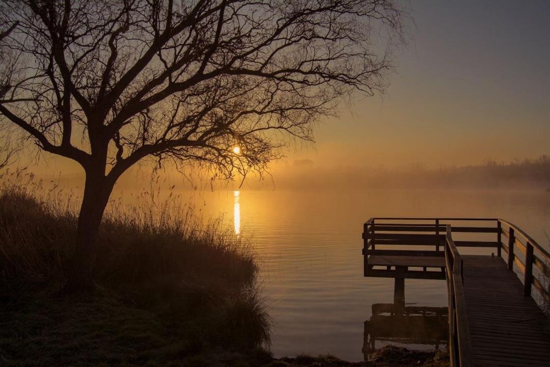 HOUSE OF JOY , CASA EN BANYOLES