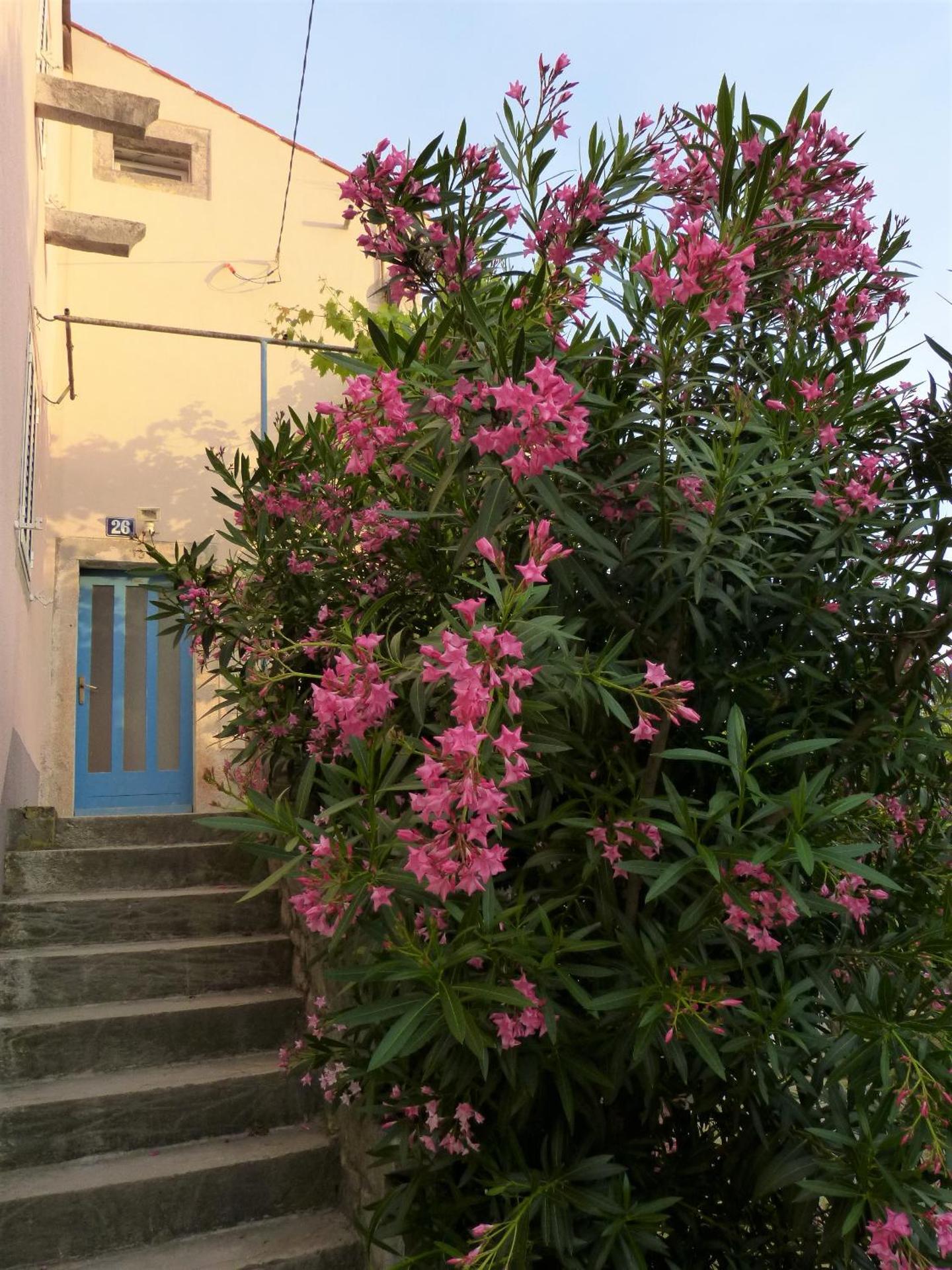 Studio apartmani Šverko