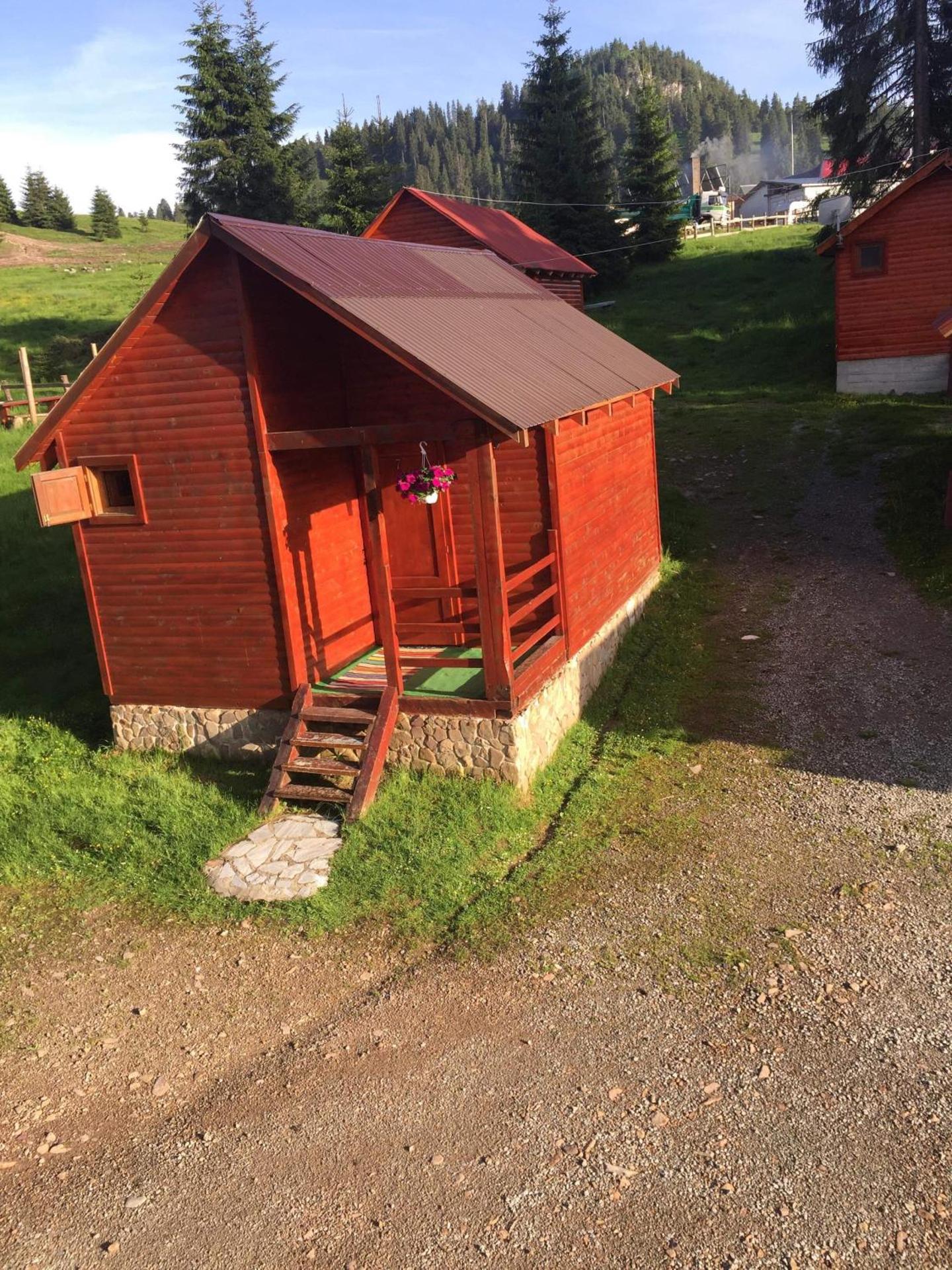 Popas Turistic Padis