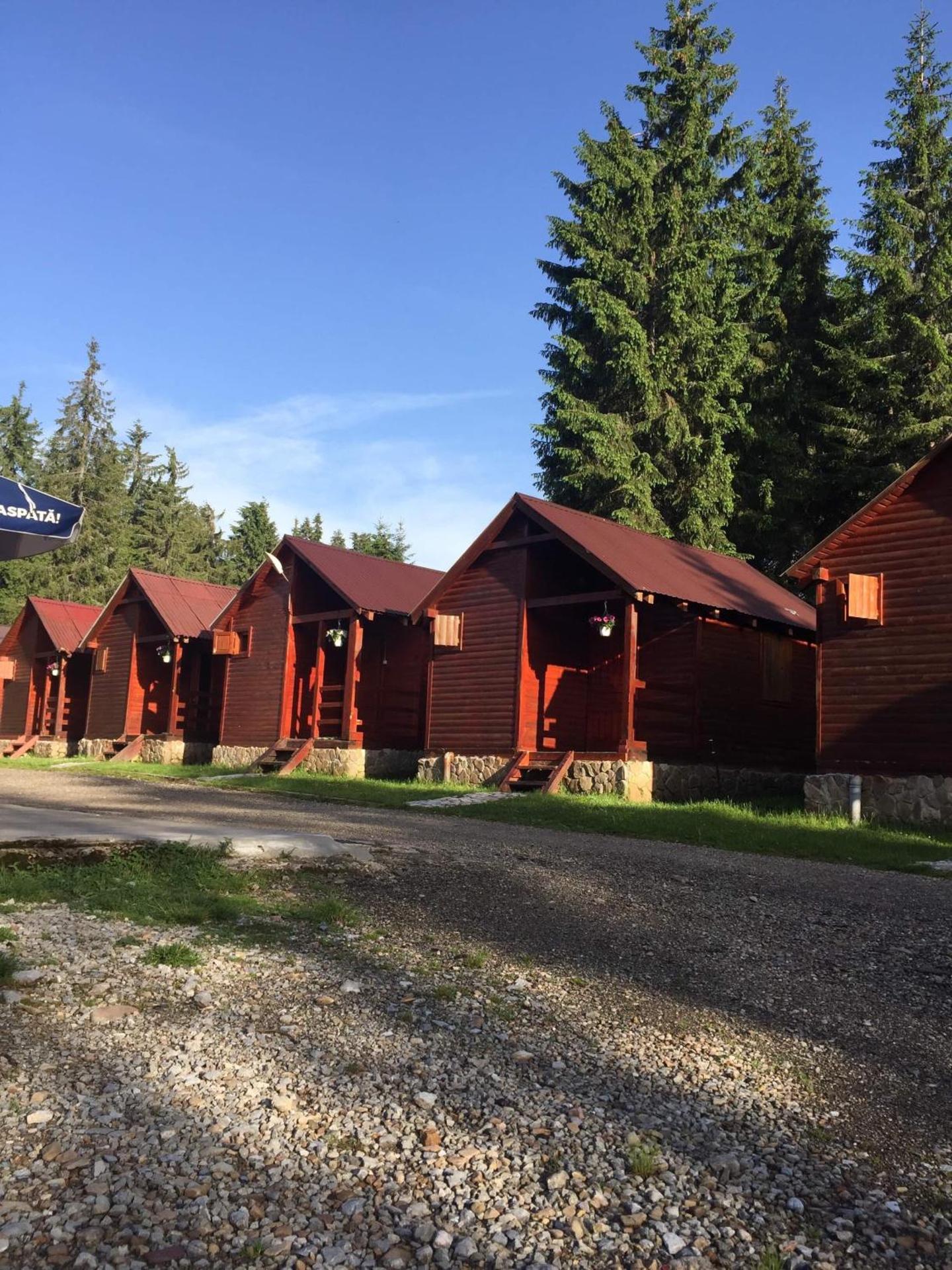 Popas Turistic Padis