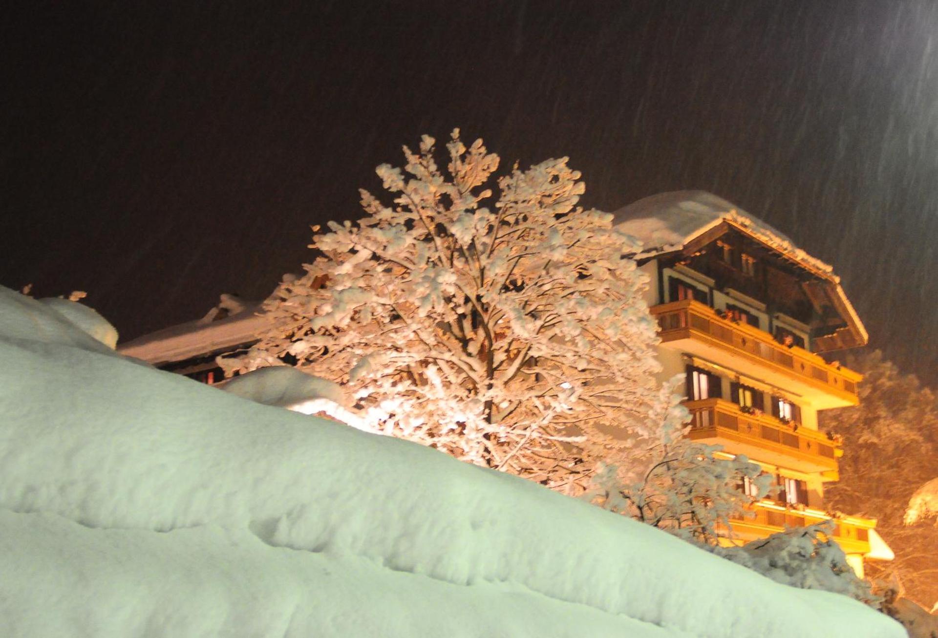 Rauzi Hotel Garnì & apartments