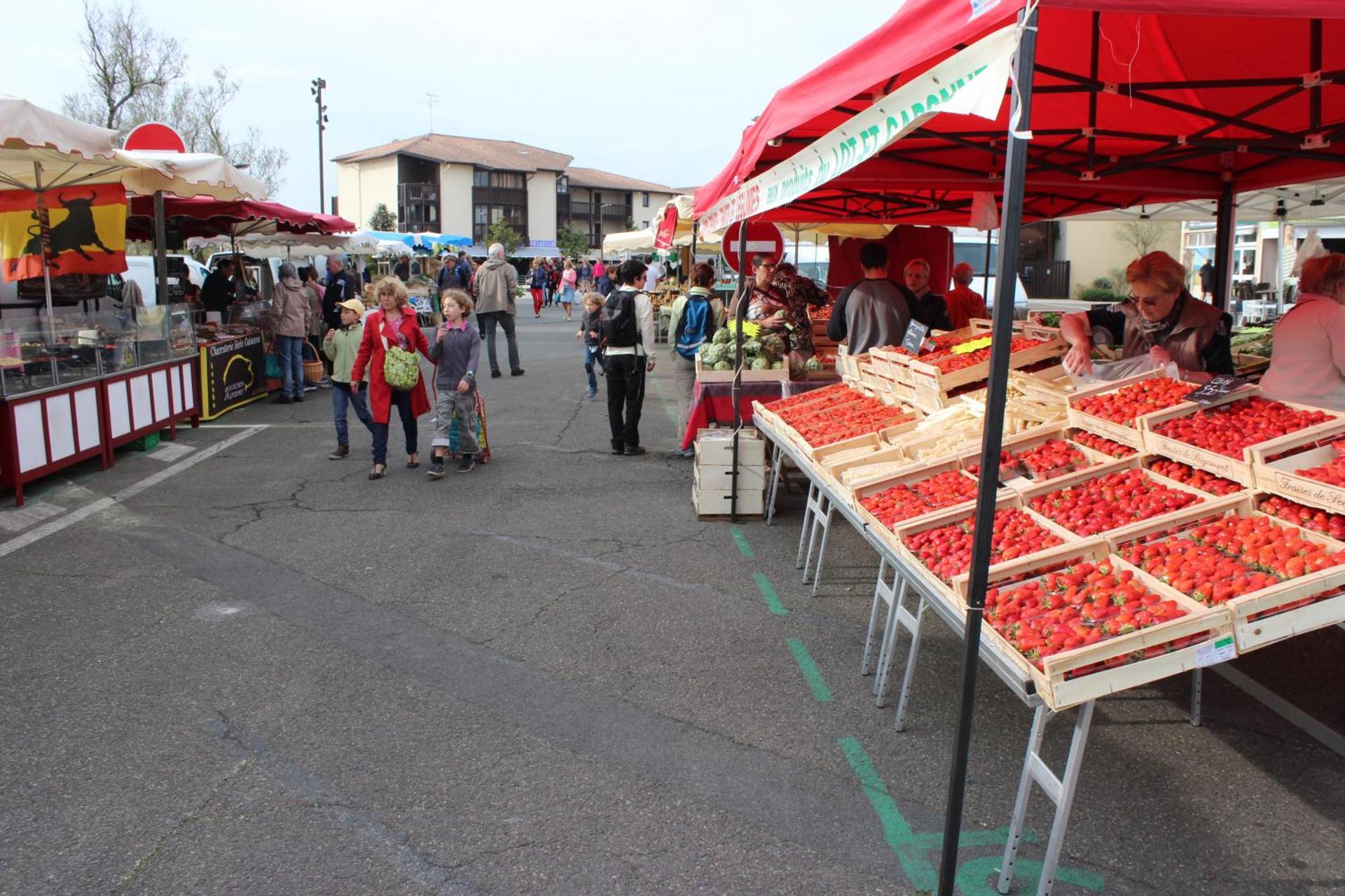 Les Landes avec piscine et près du lac