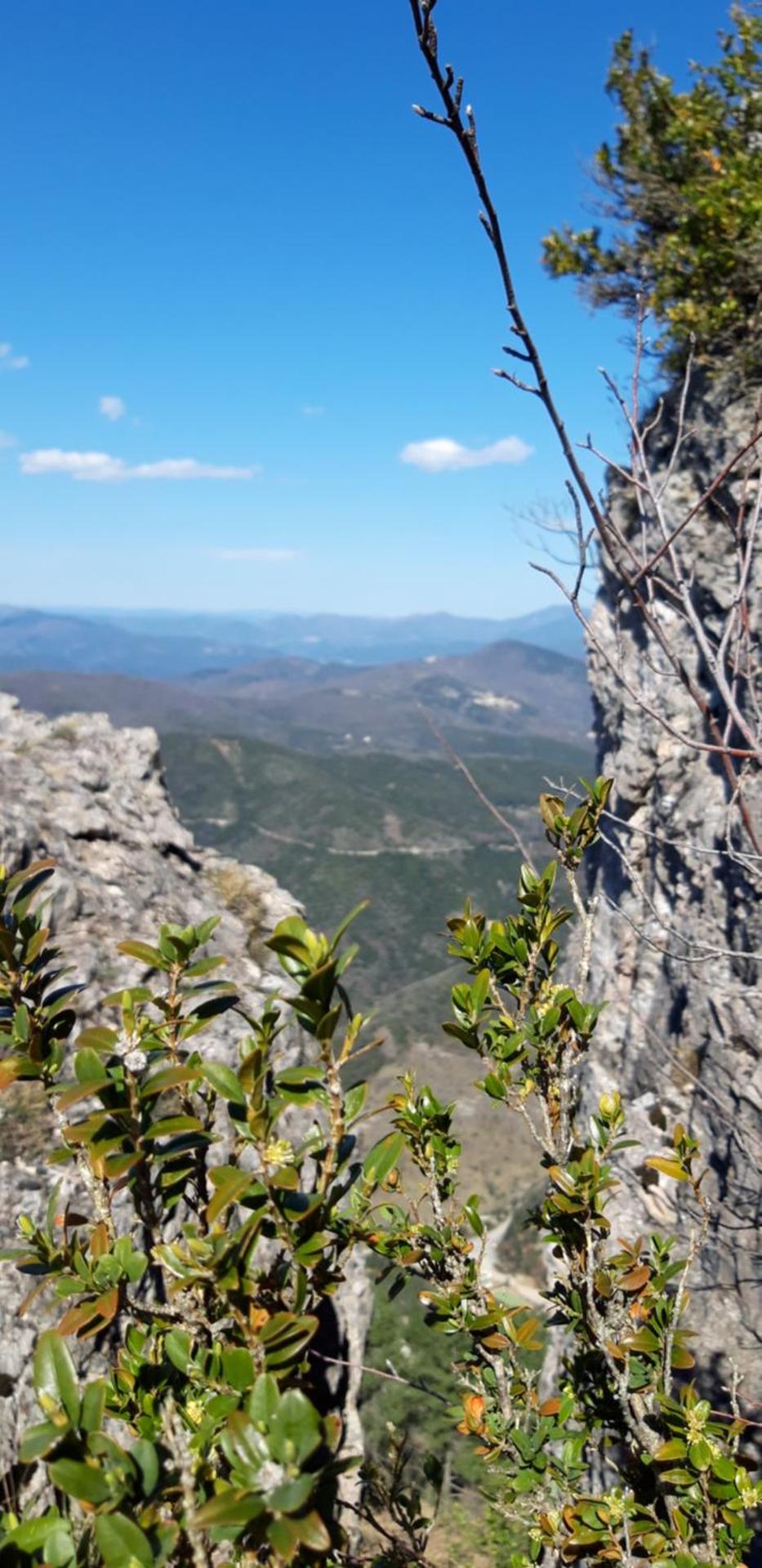Gîtes chez Daniel "Cevennes 1"