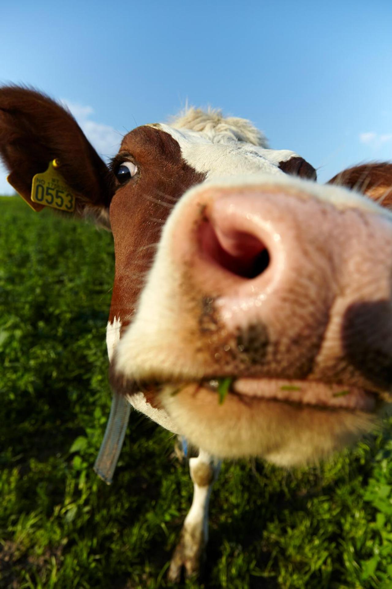 Husfrua Gårdshotell