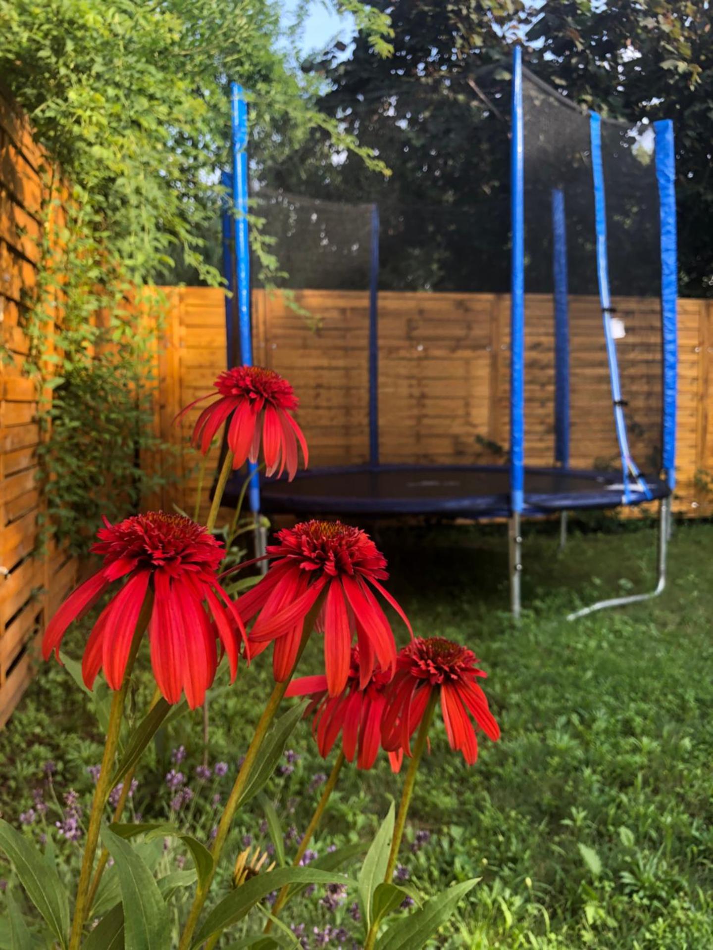 Children play ground