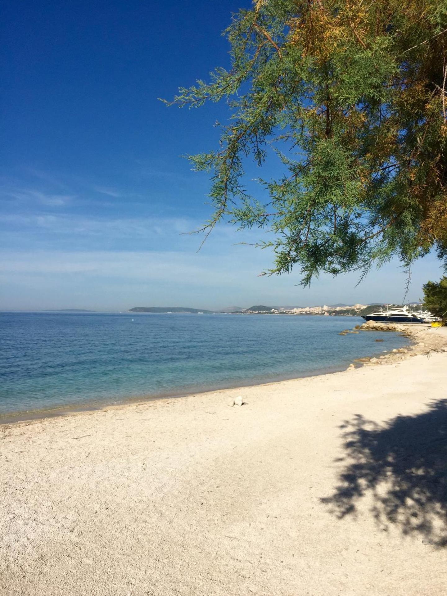 Bed & Breakfast Senator