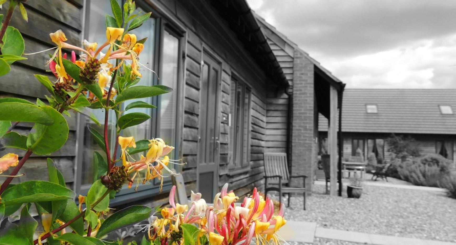 Elm Tree Farm Accommodation