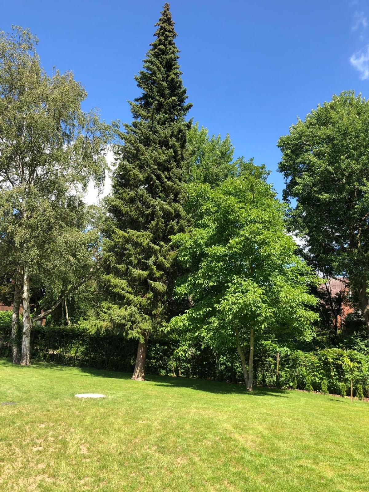 Ferienhaus Bäk-Ratzeburg