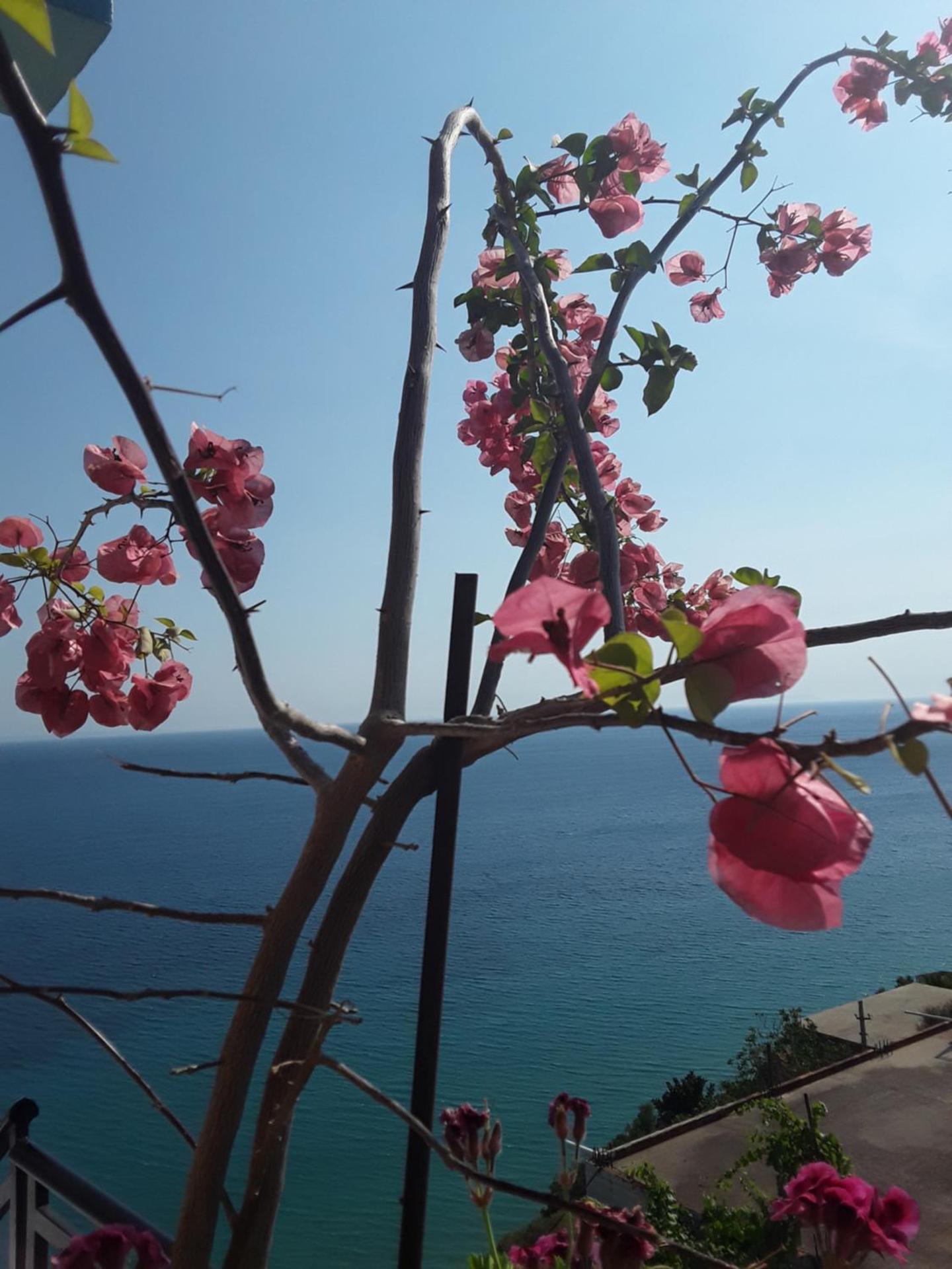 Odhisea Hotel Restaurant