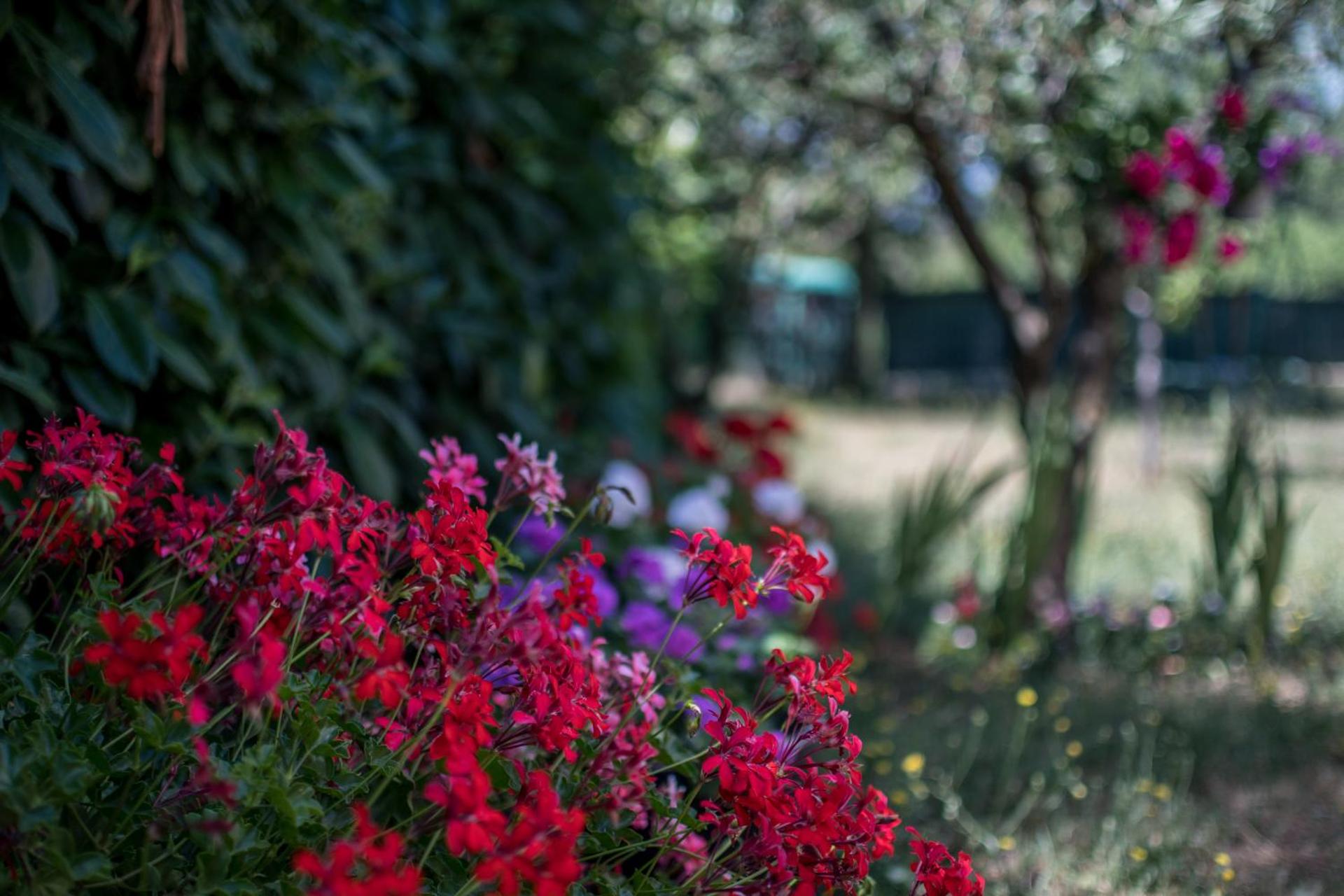 Holiday Home Suzana 1276