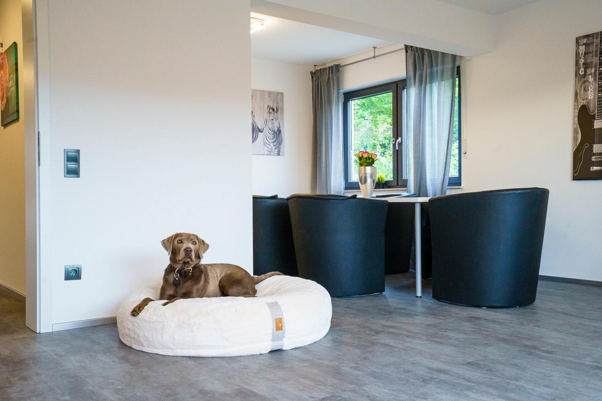 Ferienwohnung Rauszeit Lennestadt Sauerland