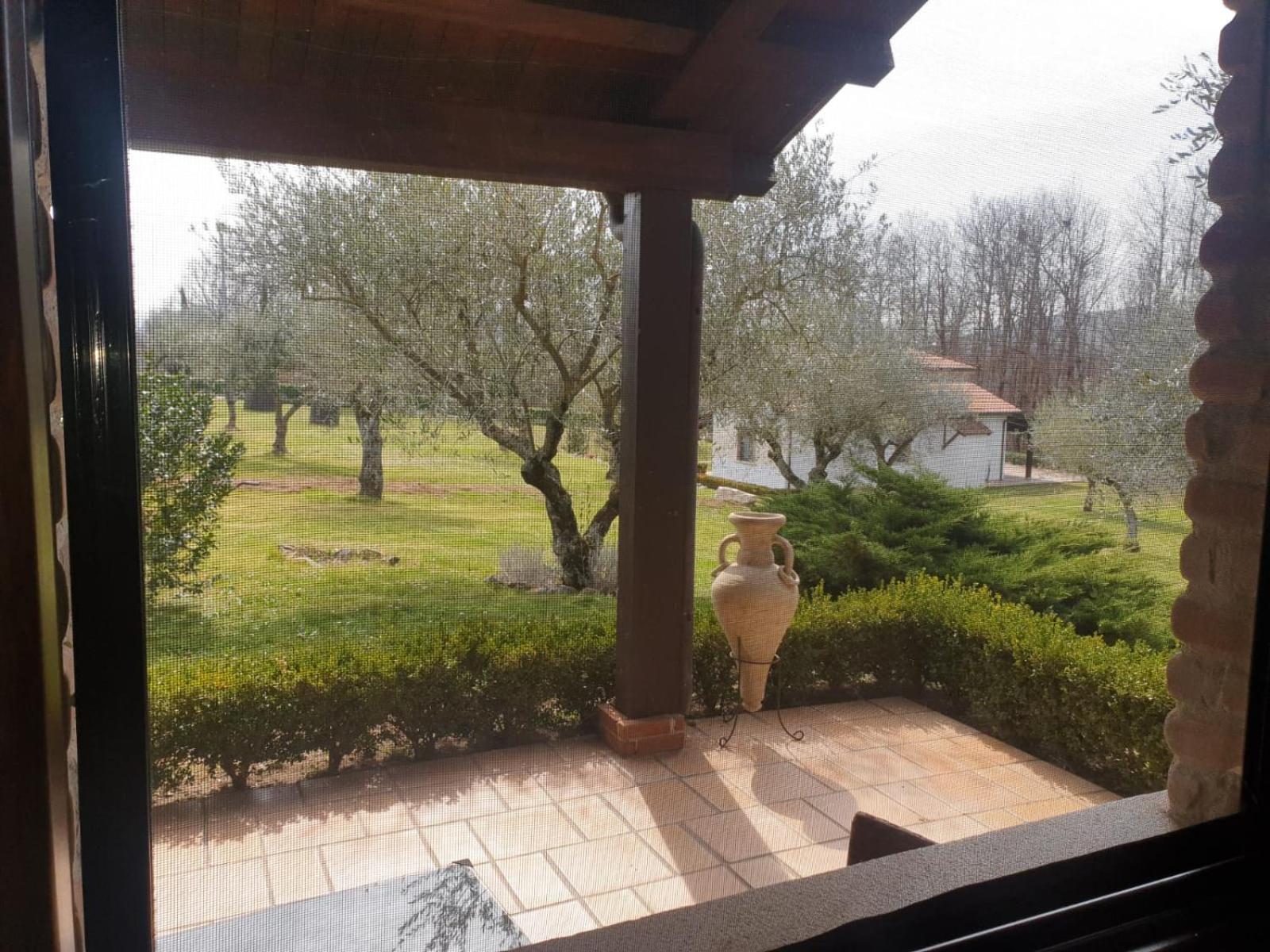 Agriturismo IL CASTAGNETO