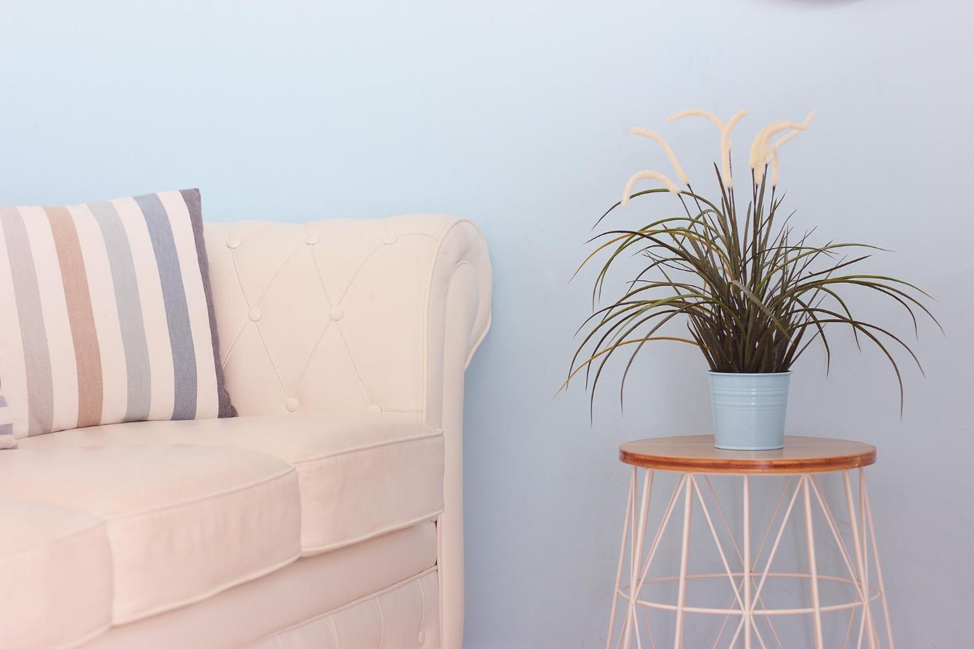 Madera y Mar (familias/parejas)