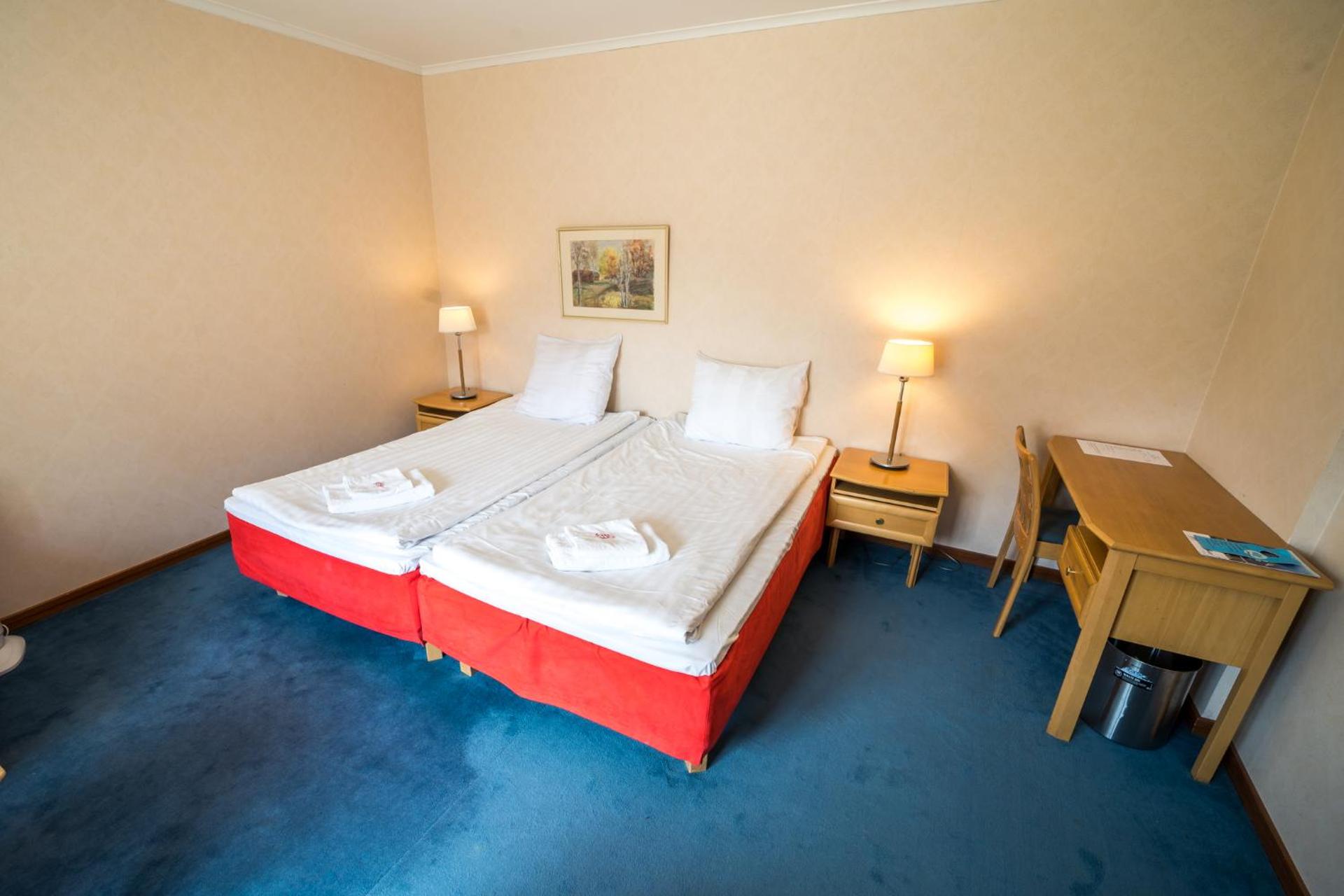 Large Standard Twin Room  - Guest house