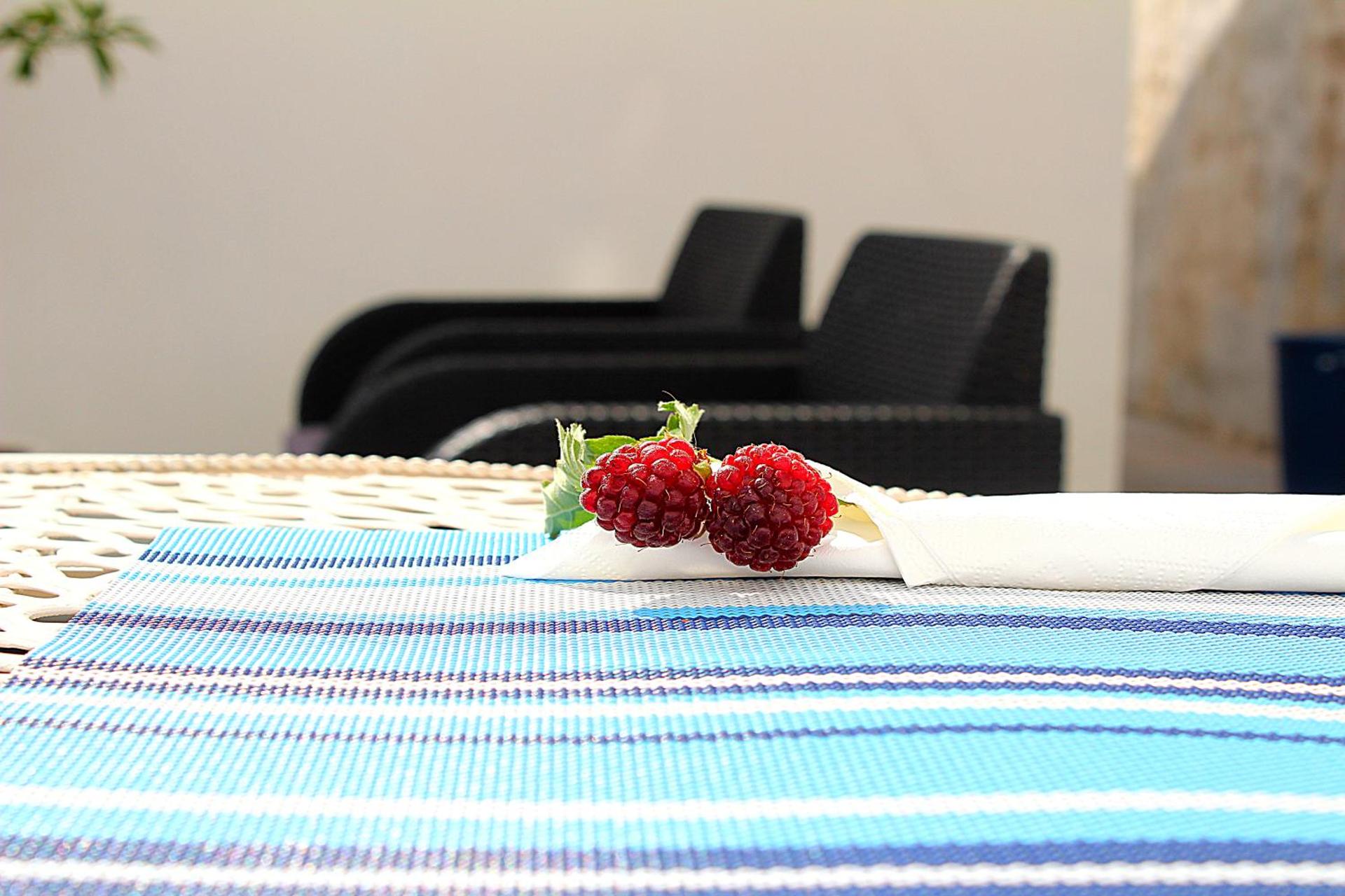 Casa do Salgueiral Douro