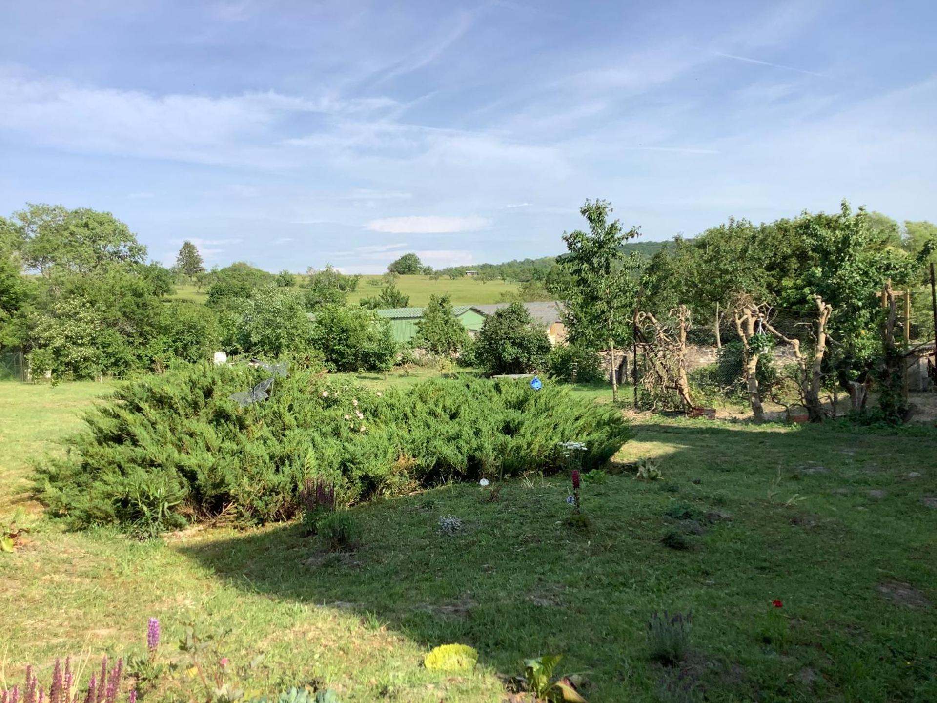 La Maison du Notaire - Chambre d'Hôtes - Huisdieren welkom