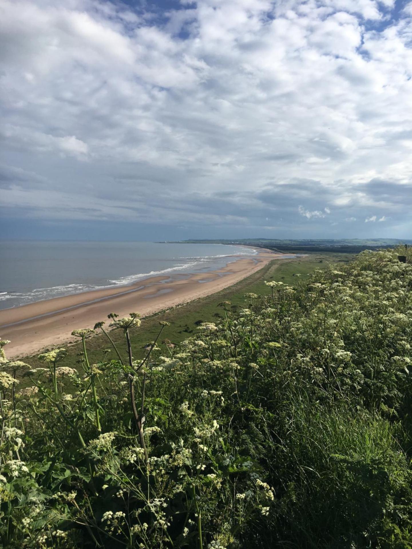 Dunnottar Woods Cottage