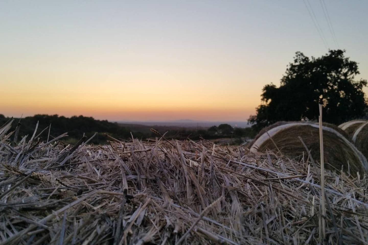piccolo casale a "le Moline" in una vera fattoria