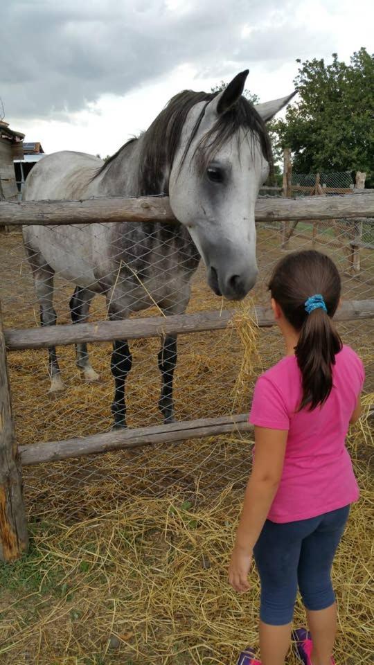 piccolo casale a "le Moline" in una vera fattoria