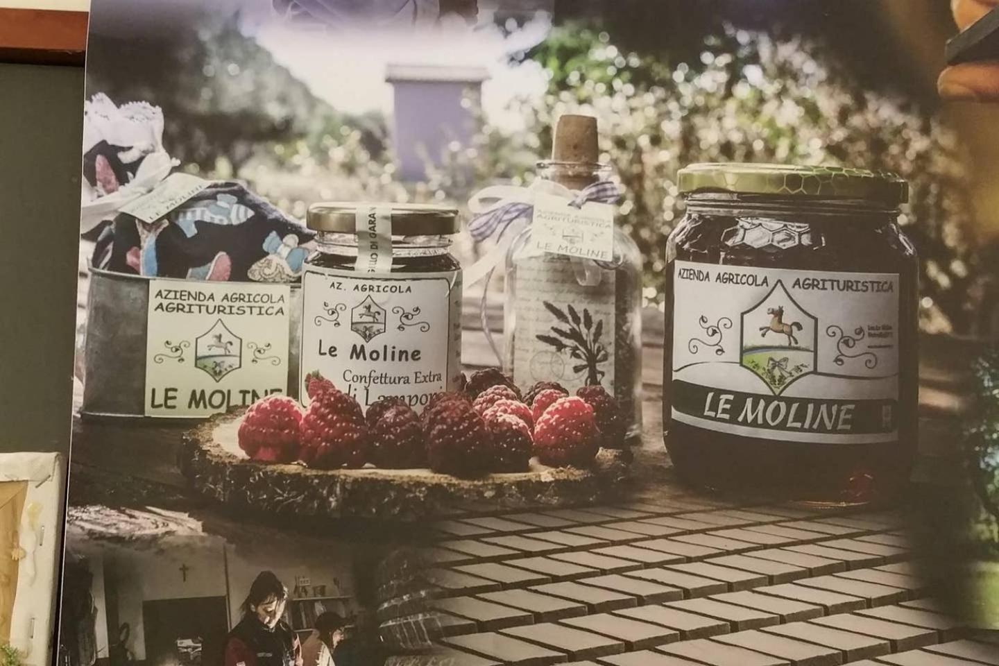 piccolo casale a "le Moline" in una vera fattoria