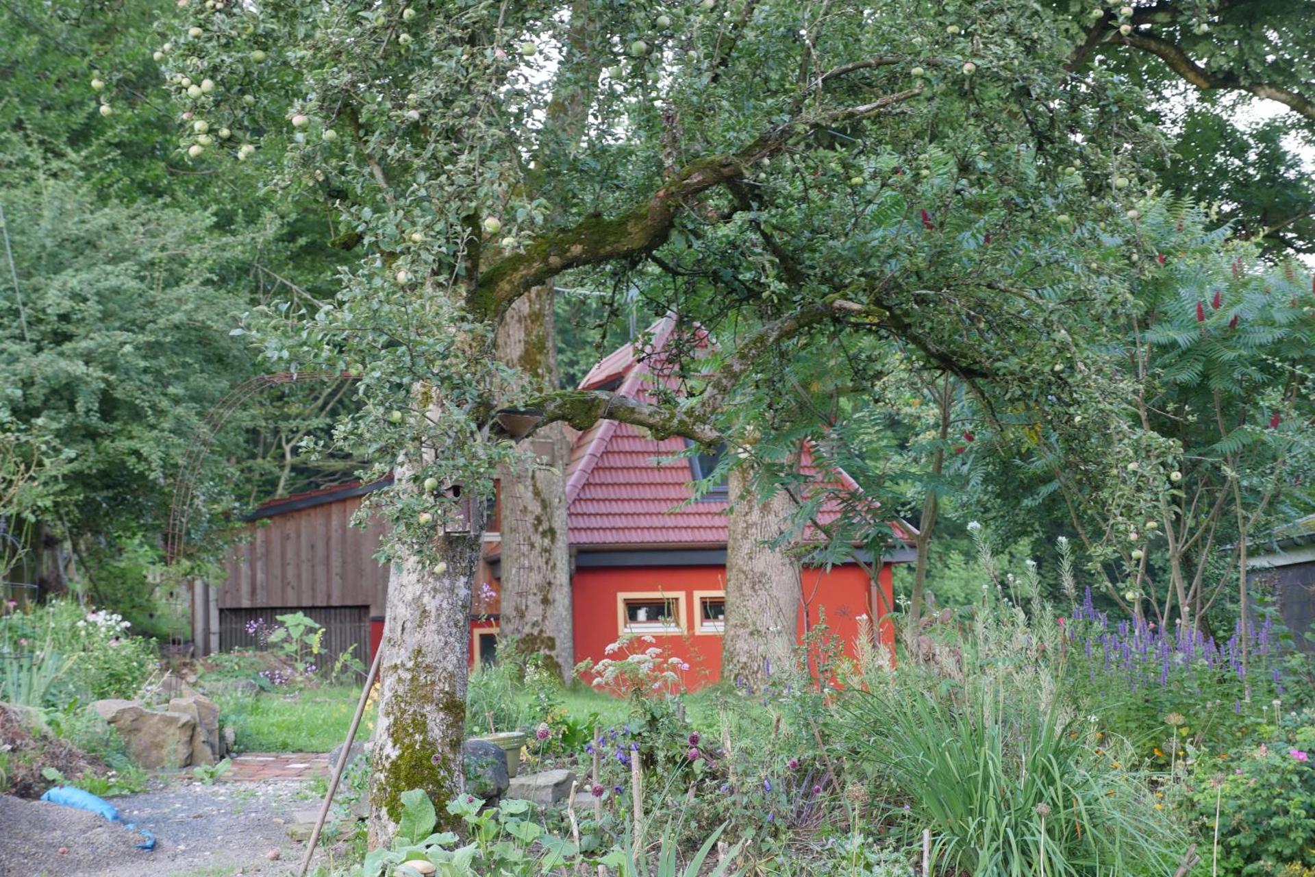 Kleine Villa im wilden Garten
