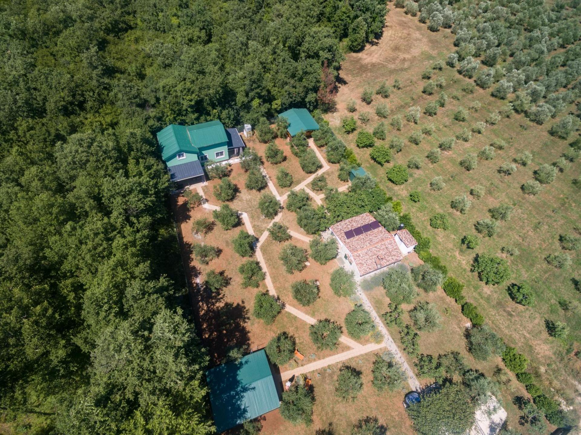 Eco Holiday Home Lavanda